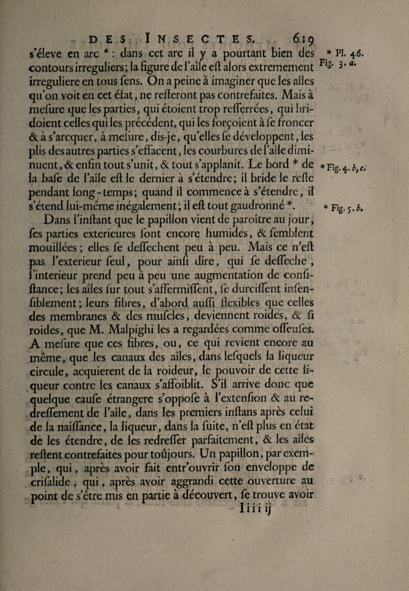 s’élève en arc * : dans cet arc il y a pourtant bien des contours irréguliers; la figure delaile eft alors extrêmement irreguliere en tous fens. On a peine à imaginer que les ailes quon voit en cet état, 11e refteront pas contrefaites. Mais à mefure que les parties, qui étoient trop refierrées, qui bri- doient celles qui les précédent, qui les forçoient à fe froncer & à s’arcquer, à meliire, dis-je, qu elles fe développent, les plis des autres parties s’effacent, les courbures de l’aile dimi¬ nuent, & enfin tout s’unit, & tout s’applanit. Le bord * de la bafe de i’aîle eft le dernier à s’étendre; il bride le refte pendant long-temps; quand il commence à s’étendre, il s’étend lui-même inégalement; il eft tout gaudronné *. Dans i’inftant que le papillon vient de paroître au jour, fes parties extérieures font encore humides, &femblent mouillées ; elles fe deffechent peu à peu. Mais ce n’eft pas l’exterieur feul, pour ainfi dire, qui fe deffeche , î’interieur prend peu à peu une augmentation de confi- ftance; les ailes fur tout s’affermiflent, fe durciffent infèn- fiblement; leurs fibres, d’abord auffi flexibles que celles des membranes & des mufcles, deviennent roides, & fi roides, que M. Malpighi les a regardées comme ofTeiifes. A mefure que ces fibres, ou, ce qui revient encore au même, que les canaux des ailes, dans lefquels la liqueur circule, acquièrent de la roideur, le pouvoir de cette li¬ queur contre les canaux s’affoiblit. S’il arrive donc que quelque caufe étrangère s’oppofe à l’extenfion & au re- dreflement de I aile, dans les premiers inftans après celui de la naiffance, la liqueur, dans la fuite, n’eft plus en état de les étendre, de les redrefler parfaitement, & les ailes reftent contrefaites pour toujours. Un papillon, par exem¬ ple, qui, après avoir fait entr’ouvrir fon enveloppe de crifalide , qui, après avoir aggrandi cette ouverture au point de s’être mis en partie à découvert, fe trouve avoir I 1 T • * * lui 1; * PI. 46» Fi’. 3. a. * Fig* 4* bj c*