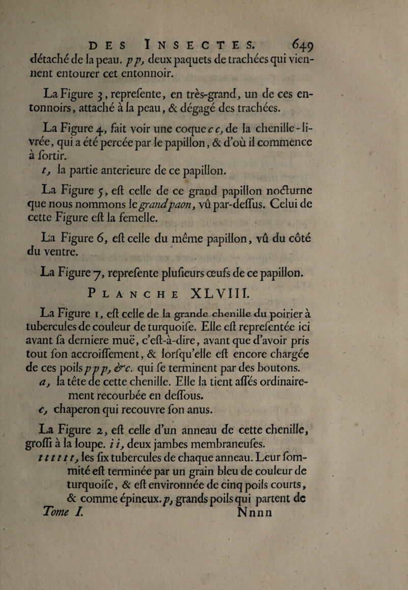 détaché de la peau, pp, deux paquets de trachées qui vien¬ nent entourer cet entonnoir. La Figure 3, reprefente, en très-grand, un de ces en¬ tonnoirs , attaché à fa peau, & dégagé des trachées. La Figure 4, fait voir une coquecc, de fa chenille-li¬ vrée , qui a été percée par le papillon, & d’où il commence à fortir. t, la partie anterieure de ce papillon. La Figure 5, eft celle de ce grand papillon noélurne que nous nommons 11 grandpaon, vû par-deffus. Celui de cette Figure eft la femelle. La Figure 6, eft celle du même papillon, vû du côté du ventre. La Figure 7, reprelènte plufieurs œufs de ce papillon. Planche XLVIII. La Figure 1, eft celle de la grande chenille du poirier à tubercules de couleur de turquoife. Elle eft reprefentée ici avant fa derniere muë, c’eft-à-dire, avant que d’avoir pris tout fon accroiflement, & lorfqu’elle eft encore chargée de ces poils ppp, è^c. qui fe terminent par des boutons. a, la tête de cette chenille. Elle la tient alfés ordinaire¬ ment recourbée en deflous. c, chaperon qui recouvre fon anus. , À / La Figure 2, eft celle d’un anneau de cette chenille, grolfi à la loupe, i i, deux jambes membraneufes. / / /111, les fix tubercules de chaque anneau. Leur lom- mité eft terminée par un grain bleu de couleur de turquoife, & eft environnée de cinq poils courts, & comme épineux, p, grands poils qui partent de Tome I. Nnnn