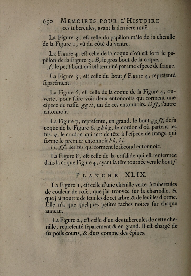 ces tubercules, avant la derniere mue. La Figure 3, eft celle du papillon mâle de la chenille de la Figure r, vû du côté du ventre. La Figure 4, eft celle de la coque doù eft forti le pa¬ pillon de la Figure 3. B, le gros bout de la coque. /, le petit bout qui eft terminé par une efpece de frange. La Figure 5, eft celle du bout/Figure 4, reprefenté feparément. La Figure 6, eft celle de la coque de la Figure 4, ou¬ verte, pour faire voir deux entonnoirs qui forment une efpece de nafle. gg //, un de ces entonnoirs, iiff, l'autre entonnoir. La Figure 7, reprefente, en grand, le bout ggff de fa coque de la Figure 6. g h h g, le cordon dou partent les fils, q, le cordon qui lert de tête à l’efpece de frange qui forme le premier entonnoir h h, i i 2 i, ff, les fils qui forment le fécond entonnoir. La Figure 8, eft celle de la crifalide qui eft renfermée dans la coque Figure 4, ayant fa tête tournée vers le bout/ Planche XLIX. La Figure 1, eft celle d'une chenille verte, à tubercules de couleur de rofe, que j'ai trouvée fur la charmille, & que j'ai nourrie de feuilles de cet arbre, & de feuilles d’orme. Elle n'a que quelques petites taches noires fur chaque anneau. La Figure 2, eft celle d'un des tubercules de cette che¬ nille, reprefenté feparément & en grand. Il eft chargé de fix poils courts, & durs comme des épines.
