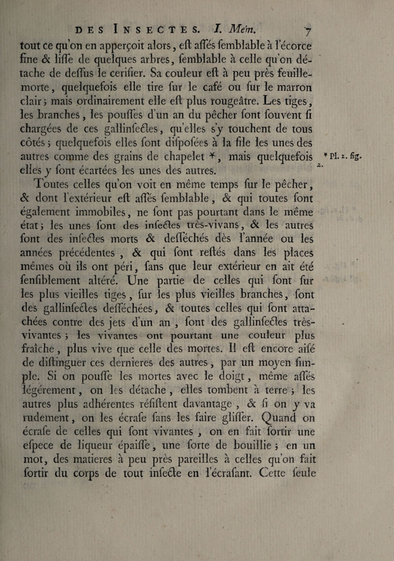 tout ce qu’on en apperçoit alors, eft affés fembîable à l’écorce fine & lilTe de quelques arbres, fembîable à celle qu’on dé¬ tache de deffus le cerifier. Sa couleur eïl: à peu près feuille- morte , quelquefois elle tire fur le café ou fur le marron clairi mais ordinairement elle eft'plus rougeâtre. Les tiges, les branches, les poufles d’un an du pêcher font fouvent fi chargées de ces gallinfedes, qu elles s’j touchent de tous côtés 5 quelquefois elles font difpofées à la file les unes des autres comme des grains de chapelet ^, mais quelquefois * fl- ^2* elles y font écartées les unes des autres. Toutes celles qu’on voit en même temps fur le pêcher. Si dont l’extérieur eft allés fembîable, & qui toutes font également immobiles, ne font pas pourtant dans le même état J les unes font des infeéles très-vivans, & les autres font des infeêles morts & defléchés dès l’année ou les années précédentes , & qui font reliés dans les places mêmes où ils ont péri, fans que leur extérieur en ait été fenfiblement altéré. Une partie de celles qui font fur les plus vieilles tiges, fur les plus vieilles branches, font des gallinfeéles delféchées, Si toutes celles qui font atta¬ chées contre des jets d’un an , font des gallinfeéles très- vivantes i les vivantes ont pourtant une couleur plus fraîche, plus vive que celle des mortes. Il eft encore aifé de diftinguer ces dernieres des autres, par un mojen fim- ple. Si on pouffe les mortes avec le doigt, même affés légèrement, on les détache , elles tombent à terre' -, les autres plus adhérentes réfiftent davantage , & fi on y va rudement, on les écrafe fans les faire gliffer. Quand on écrafe de celles qui font vivantes , on en fait fortir une efpece de liqueur épaiffe, une forte de bouillie j en un mot, des matières à peu près pareilles à celles qu’on fut fortir du corps de tout infeéle en l’écrafant. Cette feule