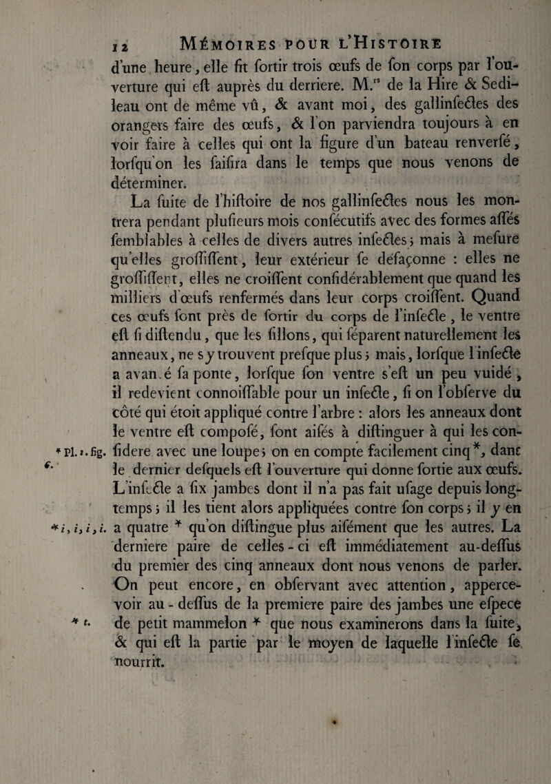 d’une heure, elle fit fortir trois œufs de fou corps par l’ou¬ verture qui eft auprès du derrière. M.“ de la Hire & Sedi- leau ont de même vû, & avant moi, des gallinfedles des orangers faire des œufs, & l’on parviendra toujours à en voir flaire à celles qui ont la figure d’un bateau renverfé, lorfqu on les faifira dans le temps que nous venons de déterminer. La fuite de l’hiftoire de nos gallinfedes nous les mon¬ trera pendant plufieurs mois confécutifs avec des formes afles femblables à celles de divers autres infeéles ; mais à mefure qu elles grolfiffent, leur extérieur fe défaçonne ; elles ne groffilTent, elles ne croilTent confidérablement que quand les milliers d œufs renfermés dans leur corps croilTent. Quand ces œufs font près de fortir du corps de Tinfeéle , le ventre ell fl diftendu, que les filions, qui féparent naturellement les anneaux, ne sy trouvent prefque plus j mais, lorfque Tinfeélè a avan.é fa ponte, lorfque fon ventre s’eft un peu vuidé , il redevient connoifîable pour un infeêle, fi on l’obferve du côté qui étoit appliqué contre Tarbre : alors les anneaux dont le ventre eft compofé, font aifés à diftinguer à qui lescon- fidere avec une loupe? on en compte facilement cinq*, danc le dernier defquels eft l’ouverture qui donne fortie aux œufs. L’inftéle a fix jambes dont il n’a pas fait ufage depuis long¬ temps j il les tient alors appliquées contre fon corps j il y en a quatre * qu’on diftingue plus aifément que les autres. La ‘derniere paire de celles - ci eft immédiatement au-delTus du premier des cinq anneaux dont nous venons de parler. On peut encore, en obfervant avec attention, apperce- voir au - deflus de la première paire des jambes une efpecé de petit mammelon ^ que nous examineroiis dans la fuite ^ & qui eft la partie par' le moyen de laquelle Tinfeéle fe. nourrit.