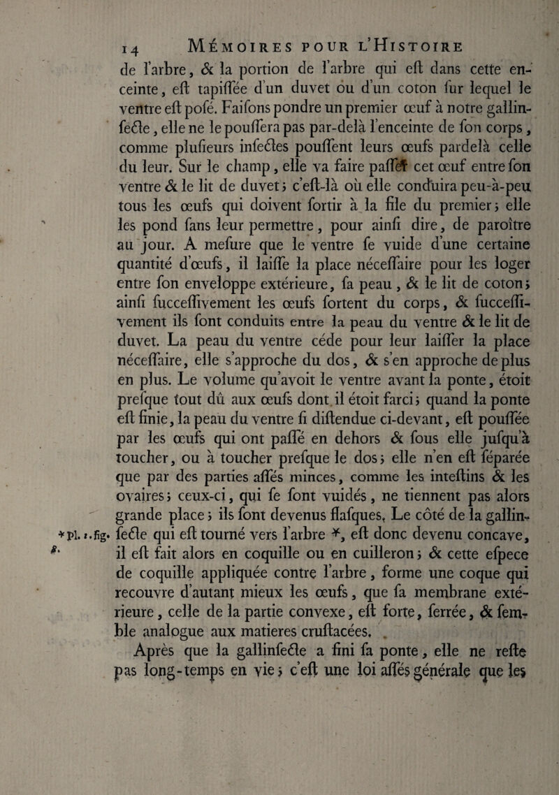 de l’arbre, & la portion de l’arbre qui efl dans cette en¬ ceinte , ell: tapiffée d’un duvet ou d’un coton fur lequel le ventre efl pofé. Faifons pondre un premier œuf à notre gallin- fe6le, elle ne le pouffera pas par-delà l’enceinte de fon corps, comme plulîeurs infeéles pouffent leurs œufs pardelà celle du leur. Sur le champ, elle va faire paff^ cet œuf entre fon ventre & le lit de duvet i c’eft-là où elle conduira peu-à-peu tous les œufs qui doivent fortir à la file du premier} elle les pond fans leur permettre, pour ainfi dire, de paroître au jour. A mefure que le ventre fe vuide d’une certaine quantité d’œufs, il laiffe la place néceffaire pour les loger entre fon enveloppe extérieure, fa peau, & le lit de coton > ainfi fuccelfivement les œufs fortent du corps, & fuccelfi- vement ils font conduits entre la peau du ventre & le lit de duvet. La peau du ventre cède pour leur laiffer la place néceffaire, elle s’approche du dos, & s’en approche de plus en plus. Le volume qu’avoit le ventre avant la ponte, étoit prefque tout dû aux œufs dont,il étoit farci} quand la ponte efl finie, la peaii du ventre fi diftendue ci-devant, eft pouflee par les œufs qui ont pâlie en dehors & fous elle jufqu’à toucher, ou à toucher prefque le dos} elle n’en eft féparée que par des parties affés minces, comme les inteftins & les ovaires} ceux-ci, qui fe font vuidés, ne tiennent pas alors grande place} ils font devenus flafques, Le côté de la gallin- feéle qui eft tourné vers l’arbre eft donc devenu concave, il eft fait alors en coquille ou en cuilleron} & cette efpece de coquille appliquée contre l’arbre, forme une coque qui recouvre d’autant mieux les œufs, que fa membrane exté¬ rieure , celle de la partie convexe, eft forte, ferrée, fem- ble analogue aux matières cruftacées. Après que la gallinfeéle a fini fa ponte, elle ne refte pas long-temps en vie} c’eft une loi affé§générale que les