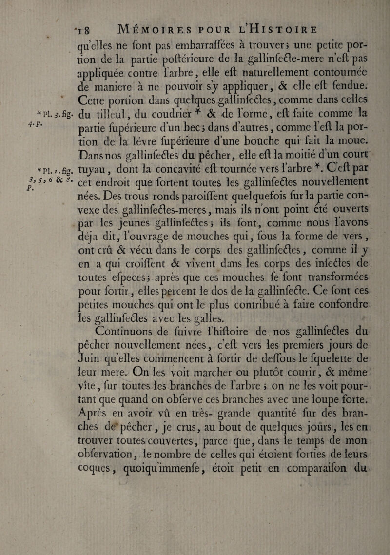 ¥ 4-P* 3,5 P. 'i8 Mémoires pour l’Histoire quelles ne font pas embarralfées à trouver; une petite por¬ tion de la partie poflérieure de la gallinfe£le-mere n’eft pas appliquée contre farbre, elle eft naturellement contournée de maniéré à ne pouvoir s’j appliquer, & elle eft fendue. Cette portion dans quelques gallinfeéles, comme dans celles pl.^.fig. du tilleul, du coudrier ^ & de forme, eft faite comme la partie fupérieure d’un bec ; dans d’autres, comme feft la por¬ tion de la lèvre fupérieure d’une bouche qui fait la moue. Dans nos gallinfeétes du pêcher, elle eft la moitié dun court pi.î.fig. tujau, dont la concavité eft tournée vers l’arbre C’eftpar ,6èiü. endroit que fortent toutes les gallinfeéles nouvellement nées. Des trous ronds paroiftènt quelquefois fur la partie con¬ vexe des gallinfeéles-meres, mais ils n’ont point été ouverts par les jeunes gallinfeéles; ils font, comme nous lavons déjà dit, fouvrage de mouches qui, fous la forme de vers, ont crû & vécu dans le corps des gallinfeéles, comme il y en a qui croilfent & vivent dans les corps des infeéles de toutes efpeces; après que ces mouches fe font transformées pour fortir, elles percent le dos de la gallinfeéle. Ce font ces petites mouches qui ont le plus contribué à faire confondre les gallinfeéles avec les t’allés. Continuons de fuivre fhiftoire de nos gallinfeéles du pêcher nouvellement nées, c’eft vers les premiers jours de Juin quelles coriimencent à fortir de delTousle fquelette de leur mere. On les voit marcher ou plutôt courir, & même vite, fur toutes les branches de l’arbre ; on ne les voit pour¬ tant que quand on obferve ces branches avec une loupe forte. Après en avoir vû en très- grande quantité fur des bran¬ ches depêcher, je crus, au bout de quelques jours, les en trouver toutes couvertes, parce que, dans le temps de mon obfervation, le nombre de celles qui étoient forties de leurs coques, quoiqu’immenfe, étoit petit en comparaifon du