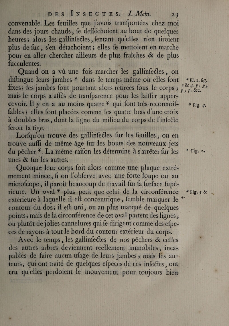 convenable. Les feuilles que j’avois tranfportées chez moi dans des jours chauds, fe defléchoient au bout de quelques heures} alors les gallinfedles, fentant qu elles n’en tiroient plus de fuc, s’en détachoient ; elles fe mettoient en marche pour en aller chercher ailleurs de plus fraîches & de plus fucculentes. Quand on a vu une fois marcher les gallinfe6les, on diftingue leurs jambes ^ dans le temps même où elles font fixes5 les jambes font pourtant alors retirées fous le corps ; p,pt^c/'‘ mais le corps a alTés de tranfparence pour les laÙTer apper- cevoir. 11 j en a au moins quatre * qui font très-reconnoif- ^ Fig. 4. fables J elles font placées comme les quatre bras d’une croix à doubles bras, dont la ligne du milieu du corps de l’infede feroit la tige. Lorfqu’on trouve des gallinfeéles fur les feuilles, on en trouve aulTi de même âge fur les bouts des nouveaux jets du pêcher La même raifon les détermine à s’arrêter fur les * '• unes & fur les autres. Quoique leur corps foit alors comme une plaque extrê¬ mement mince, fi on l’obferve avec une forte loupe ou au ' microfcope, il paroît beaucoup de travail fur fa furface fupé- rieure. Un oval ^ plus petit que celui de la circonférence extérieure à laquelle il eft concentrique, femble marquer le contour du dos; il efl; uni, ou au plus marqué de quelques points} mais de la circonférence de cet oval partent des lignes, ou plutôt de jolies cannelures qui fe dirigent comme des efpe- ces de rayons à tout le bord du contour extérieur du corps. Avec le temps, les gallinfeéles de nos pêchers & celles des autres arbres deviennent réellement immobiles, inca¬ pables de faire aucun ufage de leurs jambes} mais les au-- teurs, qui ont traité de quelques efpeces de ces infeéles, ont: cru quelles perdoient le mouvement pour toujours bien