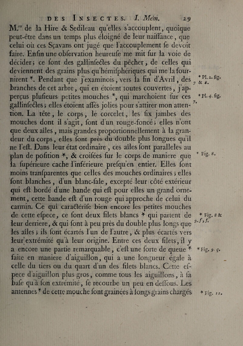 M. de la Hire & Sedileau quelles s’accouplent, quoique peut-être dans un temps plus éloigné de leur nailTance, que celui où ces Sçavans ont jugé que l’accouplement fe devoir faire. Enfin une obfervation heureufe me mit fur la voie de décider j ce font des gallinfe6les du pêcher, de celles qui deviennent des grains plus qu’hémifphériques qui me la four¬ nirent Pendant que j’examinois, vers la fin d’Avril, des branches de cet arbre, qui en étoient toutes couvertes, j’ap- perçus plufieurs petites mouches *, qui marchoient fur ces gallinfeéles ; elles étoient alTés jolies pour s’attirer mon atten¬ tion. La tête, le corps, le corcelet, les fix jambes des mouches dont il s’agit, font d’un rouge-foncéi elles n’ont que deux ailes , mais grandes proportionnellement à la gran¬ deur du corps, elles font près du double plus longues quil ne l’eft. Dans leur état ordinaire , ces ailes font parallèles au plan de pofition & croifées fur le corps de maniéré que la fupérieure cache l’inférieure prefqu’en entier. Elles font moins tranfparentes que celles des mouches ordinaires j elles font blanches, d’un blanc-fale, excepté leur côté extérieur qui eft bordé d une bande qui eft pour elles un grand orne¬ ment , cette bande eft d’un rouge qui approche de celui du carmin. Ce qui caraélérife bien encore les petites mouches de cette efpece, ce font deux filets blancs + qui partent de leur derrière, & qui font à peu près du double plus longs que les ailes i ils font écartés l un de l’autre, & plus écartés vers leur extrémité qu à leur origine. Entre ces deux filets, il y a encore une partie remarquable, c’eft une forte de queue ^ faite en maniéré d’aiguillon, qui a une longueur égale à celle du tiers ou du quart d’un des filets blancs. Cette ef¬ pece d’aiguillon plus gros, comme tous les aiguillons, à fa bafe quà fon extrémité, fe recourbe un peu en deflbus. Les antennes ^ de cette mouche font grainées à longs grains chargés * PI. î. fig. y àc 8, ^ Pl. 4. 7.  Fig. S. Fig. 8 & ■^Fig. 5- ^ Fig. 2 2»
