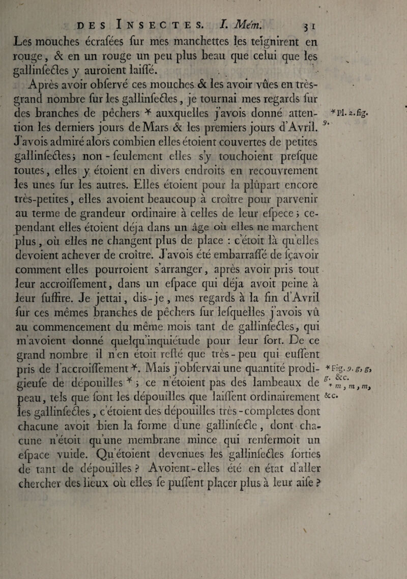 Les mouches écrafées fur mes manchettes les teignirent en rouge, & en un rouge un peu plus beau que celui que les gallinfedes J auroient laiffé. Après avoir obfervé ces mouches & les avoir vîtes en très- grand nombre fur les gallinfeéles, je tournai mes regards fur des branches de pêchers ^ auxquelles j’avois donné atten- tion les derniers jours de Mars & les premiers jours d’Avril. ’’ J avois admiré alors combien elles étoient couvertes de petites gallinfeéles i non - feulement elles s’j touchoient prefque toutes, elles y étoient en divers endroits en recouvrement les unes fur les autres. Elles étoient pour la plûpart encore très-petites, elles avoient beaucoup à croître pour parvenir au ternie de grandeur ordinaire à celles de leur efpece j ce¬ pendant elles étoient déjà dans un âge où elles ne marchent plus, où elles ne changent plus de place ; c etoit là qu elles dévoient achever de croître. J’avois été embarraffé de fçavoir comment elles pourroient s’arranger, après avoir pris tout - leur accroilTement, dans un efpace qui déjà avoit peine à leur fuffire. Je jettai, dis-je, mes regards à la fin d’Avril fur ces mêmes branches de pêchers fur lefquelles j’avois vît au commencement du même mois tant de gallinfedes, qui m’avoient donné quelqu’inquiétude pour leur fort. De ce grand nombre il n’en étoit refté que très - peu qui eulTent pris de l’accroiffement Mais j’obfervai une quantité prodi- *i\g.9.s,s> gieufe de dépouilles ^ i ce n’étoient pas des lambeaux de peau, tels que font les dépouilles que lailfent ordinairement les gallinfedes, c’étoient des dépouilles très-complétés dont chacune avoit bien la forme d’une gallinfeéle, dont cha¬ cune n’étoit qu’une membrane mince qui renfermoit un efpace vuide. Qu’étoient devenues les gallinfeèies foities de tant de dépouilles ? Avoient - elles été en état d’aller chercher des lieux où elles fe puffent placer plus à leur aife } \