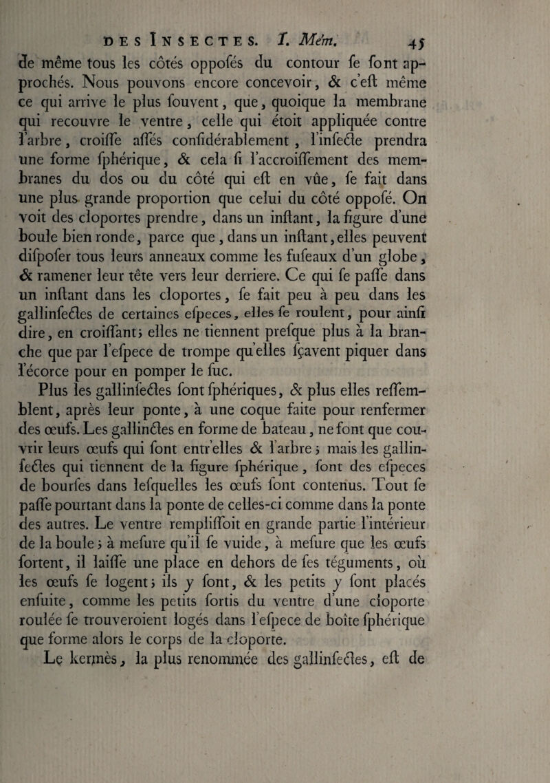 de même tous les côtés oppofés du contour fe font ap¬ prochés. Nous pouvons encore concevoir, & c’eft même ce qui arrive le plus fouvent, que, quoique la membrane qui recouvre le ventre, celle qui étoit appliquée contre l’arbre, croiffe afles confîdérablement, l’infeéle prendra une forme fpbérique, & cela ü l’accroilTement des mem¬ branes du dos ou du côté qui eft en vue, fe fait dans une plus grande proportion que celui du côté oppofé. On voit des cloportes prendre, dans un inftant, la figure d’une boule bien ronde, parce que, dans un inftant, elles peuvent difpofer tous leurs anneaux comme les fufeaux d’un globe, & ramener leur tête vers leur derrière. Ce qui fe pafle dans un inftant dans les cloportes, fe fait peu à peu dans les gallinfeéles de certaines efpeces, elles fe roulent, pour ainli dire, en croilfantj elles ne tiennent prefque plus à la bran¬ che que par l’efpece de trompe quelles fçavent piquer dans l’écorce pour en pomper le fuc. Plus les gallinfeêles font fphériques, & plus elles relTem- blent, après leur ponte, à une coque faite pour renfermer des œufs. Les gallinêles en forme de bateau, ne font que cou¬ vrir leurs œufs qui font entr’elles & l’arbre > mais les gallin- feôles qui tiennent de la figure fphérique, font des efpeces de bourfes dans lesquelles les œufs lont contenus. Tout fe paflè pourtant dans la ponte de celles-ci comme dans la ponte des autres. Le ventre remplilfoit en grande partie l’intérieur de la boule 5 à mefure qu’il fe vuide, à mefure que les œufs fortent, il lailfe une place en dehors de fes téguments, où les œufs fe logent} ils y font, & les petits y font placés enfuite, comme les petits Sortis du ventre d’une cloporte roulée fe trouveroient logés dans l’efpece de boîte fphérique que forme alors le corps de la cloporte. Le kermès, la plus renonamée des gallinSeéles, eft de