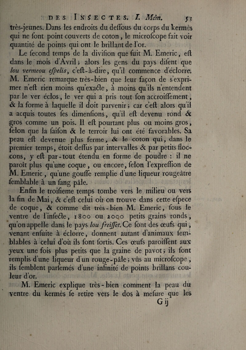 très-jeunes. Dans les endroits du deflbus du corps du kermès qui ne font point couverts de coton, le microfcope fait voir quantité de points qui ont le brillant de l’or. Le fécond temps de la divifion que fuit M. Emeric, eft dans le ' mois d’Avril} alors les gens du pays difent que lou vermeou efpelis, c’eft-à-dire, qu’il commence d’éclorre, M. Emeric remarque très-bien que leur façon de s’expri¬ mer n’eft rien moins qu’exaète, à moins qu’ils n’entendent par le ver éclos, le ver qui a pris tout fon accroilfement, & la forme à laquelle il doit parvenir ; car c’efl: alors qu’il a acquis toutes fes dimenfions, qu’il. eft devenu rond & gros comme un pois. 11 eft pourtant plus ou moins gros, félon que la faifon & le terroir lui ont été favorables. Sa peau eft devenue plus ferme, «& le coton qui, dans le premier temps,.étoit deftus par intervalles & par petits lloc- cons, y eft par-tout étendu en forme de poudre : il ne paroît plus qu’une coque , ou encore, félon l’expreffion de M. Emeric, qu’une goufle remplie d’une liqueur rougeâtre femblable à un fang pâle. Enfin le troifieme temps tombe vers le milieu ou vers la fin de Mai, & c’eft celui où on trouve d.ans cette efpece de coque, & comme dit très - bien M. Emeric, fous le ventre de l’infeéle, 1800 ou 20Q0 petits grains ronds, qu’on appelle dans le pajs lou freijjèt. Ce font des œufs qui, venant enfuite à éclorre, donnent autant d’animaux fetn- blables à celui d’où ils font fortis. Ces œufs paroilfent aux jeux une fois plus petits que la graine de pavot j ils font remplis d’une liqueur dun rouge-pâle 5 vus au microfcope , ils femblent parfemés d’une infinité de points brillans cou¬ leur d’or. M. Emeric explique très-bien comment la peau du ventre du kermès fe retire vers le dos à mefure que les Gij