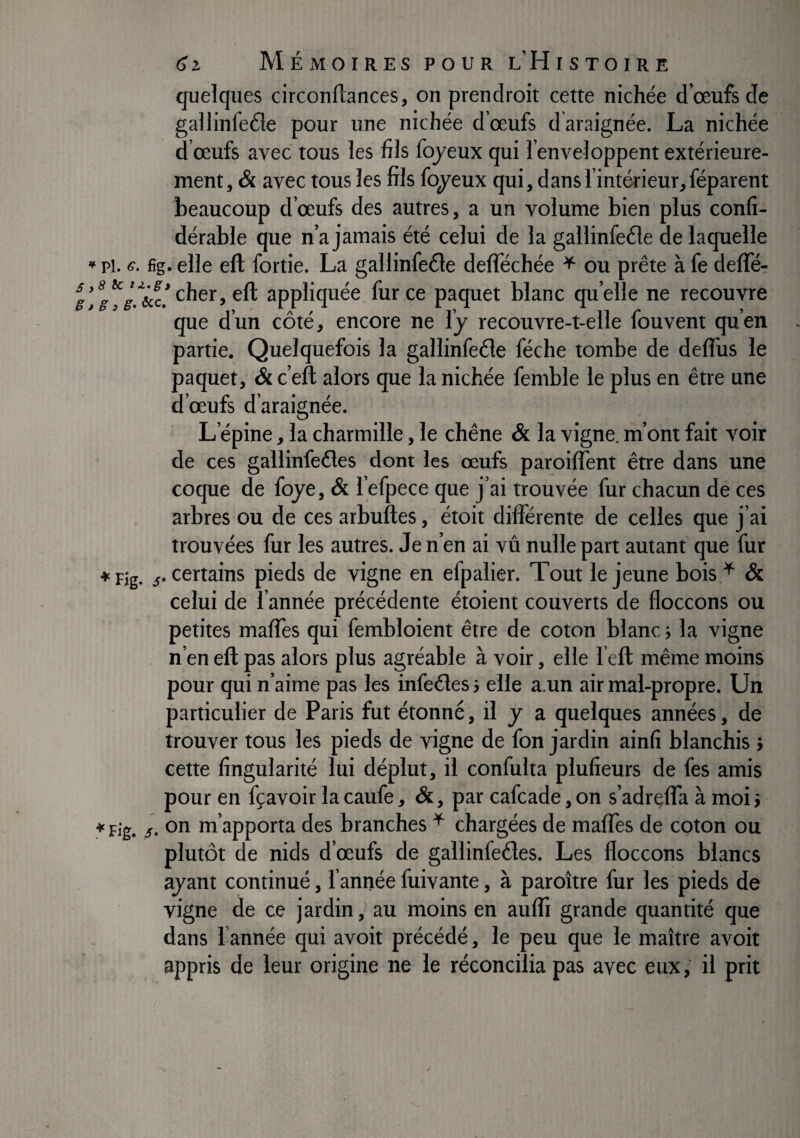 quelques circonflances, on prenciroit cette nichée d’œufs de gallinfeéle pour une nichée d’œufs d araignée. La nichée d œufs avec tous les fils fojeux qui l’enveloppent extérieure¬ ment, & avec tous les fils fo^eux qui, dans l’intérieur, féparent beaucoup d’œufs des autres, a un volume bien plus confi- dérable que n’a jamais été celui de la gallinfeéle de laquelle * pi. 6. fig. elle eft fortie. La gallinfeéle defféchée ^ ou prête à fe deffé- ^^■‘^^’cher, eft appliquée, fur ce paquet blanc quelle ne recouvre que d’un côté, encore ne l’y recouvre-t-elle fouvent qu’en partie. Quelquefois la gallinfeéle féche tombe de deffus le paquet, & c’eft alors que la nichée femble le plus en être une d’œufs d’araignée. L’épine, la charmille, le chêne & la vigne, m’ont fait voir de ces gallinfeêles dont les œufs paroiffent être dans une coque de foye, & l efpece que j’ai trouvée fur chacun de ces arbres ou de ces arbuftes, étoit dilférente de celles que j’ai trouvées fur les autres. Je n’en ai vû nulle part autant que fur ♦Fig. 5. certains pieds de vigne en efpalier. Tout le jeune bois^ & celui de l’année précédente étoient couverts de floccons ou petites maffes qui fembloient être de coton blanc -, la vigne . n’en eft pas alors plus agréable à voir, elle l eft même moins pour qui n’aime pas les infeéles elle a.un air mal-propre. Un particulier de Paris fut étonné, il y a quelques années, de trouver tous les pieds de vigne de fon jardin ainfi blanchis i cette fîngularité lui déplut, il confulta plulîeurs de fes amis pour en fçavoir la caufe, &, par cafcade, on s’adrçfla à moi > ♦ Fig. J. on m’apporta des branches ^ chargées de mafles de coton ou plutôt de nids d’œufs de gallinfedes. Les floccons blancs ayant continué, l’année fuivante, à paroître fur les pieds de vigne de ce jardin, au moins en auflî grande quantité que dans l’année qui avoit précédé, le peu que le maître avoit appris de leur origine ne le réconcilia pas avec eux, il prit