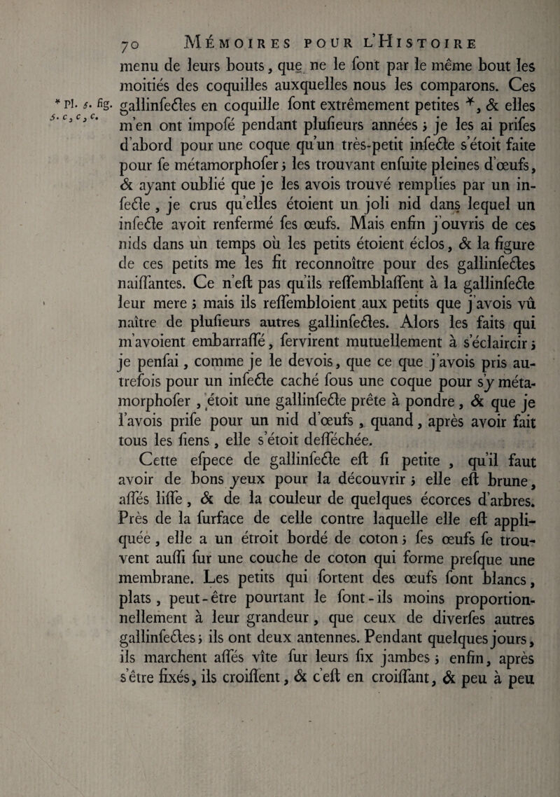 ^ PI. ^ S‘ c ^ c ^ 70 Mémoires pour l Histoire menu de leurs bouts, que ne le font par le même bout les moitiés des coquilles auxquelles nous les comparons. Ces • fis- gallinfeêles en coquille font extrêmement petites & elles irfen ont impofé pendant plufieurs années i je les ai prifes d’abord pour une coque qu’un très-petit infede s’étoit faite pour fe métamorphofer j les trouvant enfuite pleines d’œufs, <5t ayant oublié que je les avois trouvé remplies par un in- fede, je crus qu elles étoient un joli nid dans lequel un infede avoir renfermé fes œufs. Mais enfin j’ouvris de cés nids dans un temps où les petits étoient éclos, & la figure de ces petits me les fit reconnoître pour des gallinfedes nailfantes. Ce n’eft pas qu’ils reffemblaflèrit à la gallinfede leur mere ; mais ils reflembloient .aux petits que j’avois vû naître de plufieurs autres gallinfedes. Alors les faits qui m’avoient embarrafle, fervirent mutuellement à s’éclaircir i je penfai, comme je le devois, que ce que j’avois pris au¬ trefois pour un infede caché fous une coque pour s’y méta¬ morphofer , ’étoit une gallinfede prête à pondre, & que je l’avois prife pour un nid d’œufs , quand, après avoir fait tous les fiens , elle s’étoit defféchée. Cette efpece de gallinfede eft fi petite , qu’il faut avoir de bons yeux pour la découvrir} elle eft brune, alTés lifte, & de la couleur de quelques écorces d’arbres. Près de la furface de celle contre laquelle elle eft appli- quéè, elle a un étroit bordé de coton j fes œufs fe trou¬ vent aufli fur une couche de coton qui forme prefque une membrane. Les petits qui fortent des œufs font blancs, plats , peut - être pourtant le font - ils moins proportion- nelleinent à leur grandeur, que ceux de diverfes autres gallinfedes j ils ont deux antennes. Pendant quelques jours, ils marchent alfés vite fur leurs fix jambes ; enfin, après s’être fixés, ils croiflent, & c eft en croiftTant, & peu à peu