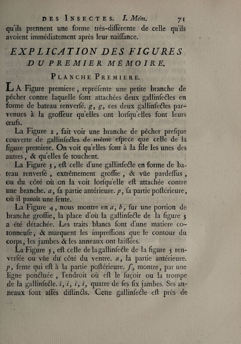 qu’ils prennent une forme très-différente de celle qu’ils avoient immédiatement après leur naiffance. EXP LICATION DES FIGURES \ D U PREMIER MEMOIRE. Planche Première. L A Figure première , repréfente une petite branche de pêcher contre laquelle font attachées deux gallinfedes en forme de bateau renverfé. g, g, ces deux gallinfeéles par¬ venues à la grofîèur quelles ont lorfqu’elles font leurs oeufs. La Figure z , fait voir une branche de pêcher prefque couverte de gallinfeéles de même efpece que celle de la figure première. On voit qu elles font à la file les unes des autres, & qu elles fe touchent. La Figure 3 , eft celle d’une gallinfeéle en forme de ba¬ teau renverfé , extrêmement groffie , & vûe pardeffus , ou du côté où on la voit lorfqu’elle eft attachée contre une branche, a, fa partie antérieure./», fa partie poftérieure, où il paroît une fente. La Figure 4, nous montre en a, h, fur une portion de branche groftie, la place d’où la gallinfeêle de la figure 3 a été détachée. Les traits j blancs font dune matière co- tonneufe, & marquent les impreffions que le contour du corps, les jambes.& les anneaux ont laiffées. La Figure j, eft celle de la gallinfede de la figure 3 ren- verfée ou vûe du côté du ventre, rz, la partie antérieure. j3, fente qui eft à la partie poftérieure. /*, montre, par une ligne ponéluée , l’endroit où eft le fuçoir ou la trompe de la gallinfeéle. i, i, i, z, quatre de fes fix jambes. Ses an¬ neaux font affés diftinéls. Cette galiinfetfte eft près de