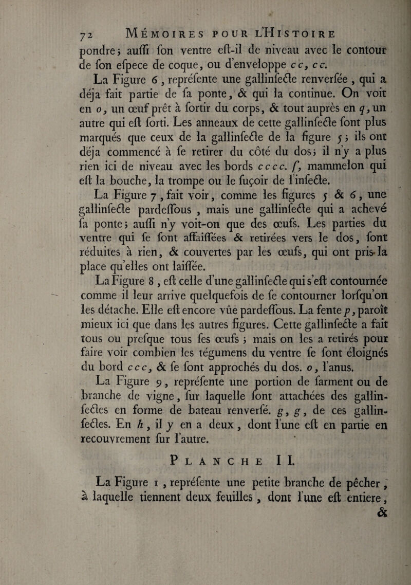 pondre i auffi fon ventre eft-il de niveau avec le contour de fon efpece de coque, ou d’enveloppe cc, cc. La Figure 6, repréfente une gallinfeéle renverfée , qui a déjà fait partie de fa ponte, & qui la continue. On voit en O, un œuf prêt à fortir du corps, & tout auprès en ÿ,un autre qui eft forti. Les anneaux de cette gallinfeéle font plus marqués que ceux de la gallinfeéle de la figure 5 > ils ont déjà commencé à fe retirer du côté du dosj il n’y a plus rien ici de niveau avec les bords cccc. mammelon qui eft la bouche, la trompe ou le fuçoir de l infeéle. La Figure 7 , fait voir, comme les figures f & 6, une gallinfeéle pardeflbus , mais une gallinfeéle qui a achevé fa ponte; aufti n’y voit-on que des œufs. Les parties du ventre qui fe font affaiffées & retirées vers le dos, font réduites à rien, & couvertes par les œufs, qui ont pris-la place qu’elles ont laifîee. La Figure 8 , eft celle d’une gallinfeéle qui s’eft contournée comme il leur arrive quelquefois de fe contourner lorfqu’on les détache. Elle eft encore vûe pardeflbus. La fente p, paroît mieux ici que dans les autres figures. Cette gallinfeéle a fait tous ou prefque tous fes œufs ; mais on les a retirés pour faire voir combien les tégumens du ventre fe font éloignés du bord ccc, & fe font approchés du dos. o, l’anus. La Figure 9, repréfente une portion de farment ou de branche de vigne, fur laquelle font attachées des gallin- leéles en forme de bateau renverfé. g, g, de ces gallin- feéles. En A , il y en a deux , dont l’une eft en partie en recouvrement fur l’autre. Planche II. La Figure r , repréfente une petite branche de pêcher à laquelle tiennent deux feuilles, dont l’une eft eniiere, &