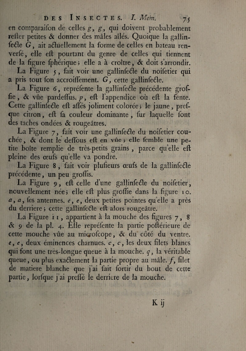 en comparaifon de celles g, g, qui doivent probablement relier petites & donner des mâles ailés. Quoique la gallin- feéle G, ait aéluellement la forme de celles en bateau ren- verfé, elle efl: pourtant du genre de celles qui tiennent de la figure fphérique > elle a à croître, & doit s’arrondir. La Figure 5, fait voir une gallinfeéle du noifetier qui a pris tout fon accroilTement. G, cette gallinfeéle. La Figure 6, repréfente la gallinfeéle précédente grofi fie, & vite pardelîus. p, eft l’appendice où efl la fente. Cette gallinfeéle efl alTés joliment colorée; le jaune, pref- que citron, efl fa couleur dominante, fur laquelle font des taches ondées & rougeâtres. La Figure 7, fait voir une gallinfeéle du noifetier cou¬ chée , & dont le defîbus efl en vûe j elle femble une pe¬ tite boîte remplie de très-petits grains , parce qu’elle efl pleine des œufs quelle va pondre. La Figure 8, fait voir plufieurs œufs de la gallinfeéle précédente, un peu groffis. La Figure 9, efl celle d’une gallinfeéle du ' noifetier, nouvellement née ; elle efl plus groffie dans la figure 1 o. a, a, fes antennes, e, e, deux petites pointes quelle a près du derrière ; cette gallinfeéle eft alors rougeâtre. La Figure i i, appartient à la mouche des figures 7, 8 & 9 de la pl. 4. Elle repréfente la partie poftérieure de cette mouche vite au miqiofcope, & du’ côté du ventre. e, deux éminences charnues, c, c, les deux filets blancs qui font une très-longue queue à la mouche, ç, la véritable queue, ou plus exaélement la partie propre au mâle. filet de matière blanche que j’ai fait fortir du bout de cette partie, lorfque j’ai preffé le derrière de la mouche. Kij