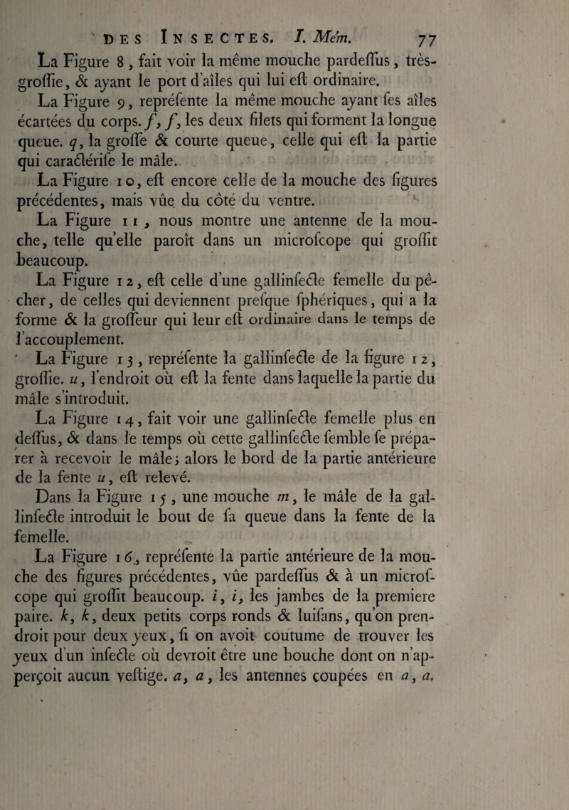 La Figure 8 , fait voir la même mouche pardelTus, très- grolTie, & ayant le port d’aîles qui lui eft ordinaire. La Figure 9, repréfente la même mouche ayant fes ailes écartées du corps, f, f, les deux filets qui forment la longue queue, g, la grolTe & courte queue, celle qui eft la partie qui caraélérife le mâle.. La Figure 10, eft encore celle de la mouche des figures précédentes, mais vue du côté du ventre. La Figure 11 , nous montre une antenne de la mou¬ che, telle quelle paroît dans un microfcope qui groffit beaucoup. La Figure i 2, eft celle d’une gallinfeêle femelle du pê¬ cher , de celles qui deviennent prefque fphériques, qui a la forme & la groftèur qui leur eft ordinaire dans le temps de l’accouplement. ■ La Figure i 3 , repréfente la gallinfeêle de la figure 12, groflie. U, l’endroit où eft la fente dans laquelle la partie du mâle s’introduit. _ - y La Figure 14, fait voir une gallinfeêle femelle plus en deflùs, & dans le temps où cette gallinfeéle femble fe prépa¬ rer à recevoir le mâlej alors le bord de la partie antérieure de la fente «, eft relevé. Dans la Figure i j , une mouche m, le mâle de la gal¬ linfeéle introduit le bout de fa queue dans la fente de la femelle. La Figure i 6, repréfente la partie antérieure de la mou¬ che des figures précédentes, vûe pardeflùs & à un microf¬ cope qui grolîit beaucoup, i, i, les jambes de la première paire, k, k, deux petits corps ronds & luifans, qu’on pren- tlroit pour deux yeux, fi on ayoit coutume de trouver les yeux d un infeéle où devroit être une bouche dont on n’ap- perçoit aucun veftige. a, a, les antennes coupées en a, a.