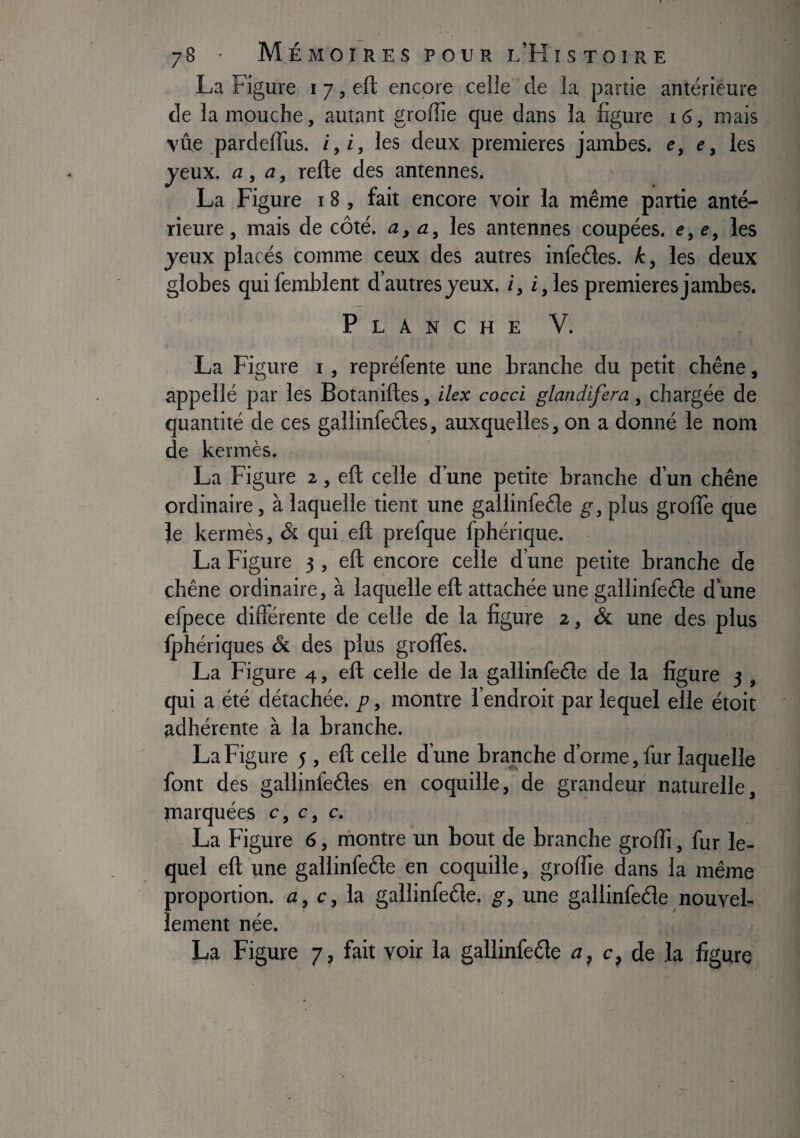 La Figure i 7, eft encore celle de la partie antérieure de la mouche, autant groffie que dans la figure 16, mais vûe pardelTus. i,i, les deux premières jambes, e, e, les yeux, a, a, relie des antennes. La Figure 18 , fait encore voir la même partie anté¬ rieure, mais de côté, a y a, les antennes coupées. e,e, les jeux placés comme ceux des autres infeéles. h, les deux globes quifemblent d’autres jeux. /, i,les premières jambes. Planche V. La Figure i, repréfente une branche du petit chêne, appellé par les Botanilles, ikx cocci glandifera, chargée de quantité de ces gallinfeéles, auxquelles, on a donné le nom de kermès. La Figure 2, efl celle d’une petite branche d’un chêne ordinaire, à laquelle tient une gallinfeêle g, plus groffe que le kermès, Si qui eft prefque fphérique. La Figure 3, eft encore celle d’une petite branche de chêne ordinaire, à laquelle eft attachée une gallinfeêle dune efpece différente de celle de la figure 2, & une des plus Iphériques & des plus grolFes. La Figure 4, eft celle de la gallinfeêle de la figure 5 , qui a été détachée, g, montre l’endroit par lequel elle étoit adhérente à la branche. La Figure 5 , eft celle d’une branche d’orme, fur laquelle font des gallinfeéles en coquille, de grandeur naturelle, marquées c, c, c. La Figure 6, rhontre un bout de branche groffi, fur le¬ quel eft une gallinfeéle en coquille, groffie dans la même proportion, a, c, la gallinfeêle. g, une gallinfeêle nouvel¬ lement née. La Figure 7, fait voir la gallinfeêle a, c, de la figure
