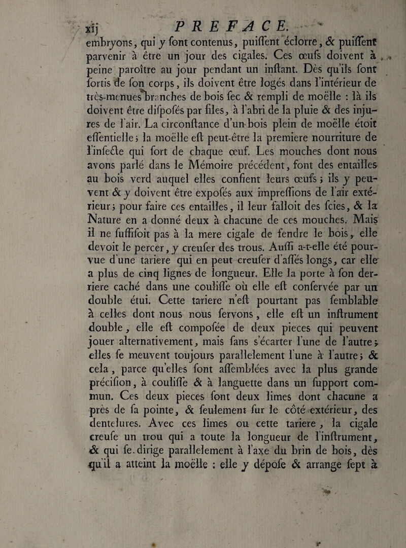 xîj PRE fa ce. embryons, qui y font contenus, puiffent éclorre, & puiflênt parvenir à être un jour des cigales. Ces œufs doivent à peine paroître au jour pendant un inftant. Dès qu’ils font îbrtis de fon corps, ils doivent être logés dans l’intérieur de très-menue^ranches de bois fec & rempli de moelle ; là ils doivent être difpofés par files, à l’abri de la pluie & des inju¬ res de fair. La circonftance d’un-bois plein de moelle étoit elfentielle j la moelle eft peut-être la première nourriture de l’infeéle qui fort de chaque œuf. Les mouches dont nous avons parlé dans le Mémoire précédent, font des entailles au bois verd auquel elles confient leurs œufs j ils y peu¬ vent & y doivent être expofés aux impreflions de l’air exté¬ rieur j pour faire ces entailles, il leur falloit des fcies, & la Nature en a donné deux à chacune de ces mouches. Mais il ne fuffifoit pas à la mere cigale de fendre le bois, elle devoir le percer,y creufer des trous. Aulîi a-t-elle été pour¬ vue d une tariere qui en peut creufer d’alTés longs, car elle a plus de cinq lignes de longueur. Elle la porte à fon der¬ rière caché dans une coulilfe où elle eft confervée par un double étui. Cette tariere n’eft pourtant pas femblable à celles dont nous nous fervons, elle eft un inftrument double, elle eft compofée de deux pièces qui peuvent jouer alternativement, mais fans s’écarter l’une de l’autre s elles fe meuvent toujours parallèlement l une à l’autre j & cela, parce qu’elles font aftemblées avec la plus grande précifion, à coulilfe & à languette dans un fupport com¬ mun. Ces deux pièces font deux limes dont chacune a près de fa pointe, & feulement fur le côté extérieur, des dentelures. Avec ces limes ou cette tariere , la cigale creufe un trou qui a toute la longueur de linftrument, & qui fe.dirige parallèlement à l’axe du brin de bois, dès qu il a atteint la moëlle ; elle y dépofe & arrange lèpt à