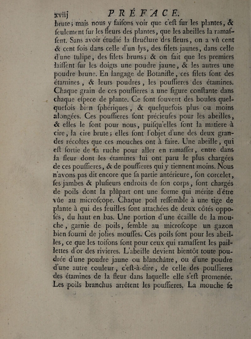 svîii P R É F'A C E: brute; mais nous y faifons voir que c’eft: fur les plantes, Sc feulement fur les fleurs des plantes, que les abeilles la ramaf- fent. Sans avoir étudié la ftruélure‘des fleurs, on a vû cent & cent fois dans celle d’un Ijs, des filets jaunes, dans celle d’une tulipe, des filets bruns; & on fait que les premiers laifl’ent fur les doigts une poudre jaune, & les autres une poudre brune. En langage de Botanifte, ces filets font des étamines, & leurs poudres, les poulTieres ’ des étamines. Chaque grain de ces poulTieres a une figure confiante dans chaque elpece de plante. Ce font fouvent des boules quel¬ quefois bien fphériques , & quelquefois plus ou moins alongées. Ces poulTieres font précieufes pour les abeilles, & elles le font pour nous, puifqu’elles font la matière à cire, la cire brute; elles font Tobjet dune des deux gran¬ des récoltes que ces mouches ont à faire. Une abeille, qui eft fortie de fa ruche pour aller en ramalTer, entre dans la fleur dont les étamines lui ont paru le plus chargées de ces pouflieres, & de poulTieres qui j tiennent moins. Nous n’avons pas dit encore que fa partie antérieure, fon corcelet, fes jambes & plufieurs endroits de fon corps, font chargés de poils dont la plupart ont une forme qui mérite d’être vûe au microfcope. Chaque poil relTemble à une tige de plante à qui des feuilles font attachées de deux côtés oppo- fés, du haut en bas. Une portion d’une écaille de la mou¬ che , garnie de poils, femble au microfcope un gazon bien fourni de jolies moulTes. Ces poils font pour les abeil¬ les , ce que les toifons font pour ceux qui ramalTent les pail¬ lettes d’or des rivières. L’abeille devient bientôt toute pou¬ drée d’une poudre jaune ou blanchâtre, ou d’une poudre d’une autre couleur, c’eft-à-dire, de celle des poulTieres des étamines de la fleur dans laquelle elle s’efl: promenée. Les poils branchus arrêtent les poulTieres. La mouche fe J