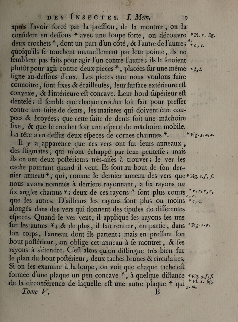 après i’avoir forcé par ia preflîon, de la montrer, on la confidere en deflbus ^ avec une loupe forte, on découvre ^Pi. ». fig. deux crochets^, dont un part d’un côté, & l’autre de l’autre, » c, c. quoiqu’ils fe touchent mutuellement par leur pointe, ils ne femblent pas faits pour agir l’un contre l’autre} ils le feroient plutôt pour agir contre deux pièces ^, placées fur une même i, i. ligne au-delîbus d’eux. Les pièces que nous voulons faire connoître, font fixes & écailleufes, leur furface extérieure eft convexe, & 1 intérieure eft concave. Leur bord fupérieur eft dentelé j il femble que chaque crochet foit fait pour preflèr contre une fuite de dents, les matières qui doivent être cou¬ pées & brojées} que cette fuite de dents foit une mâchoire fixe, & que le crochet foit une efpece de mâchoire mobile. La tête a en deftiis deux elpeces de cornes charnues Fig./.«,«. Il y a apparence que ces vers ont fur leurs anneaux , oes ftigmates, qui m’ont échappé par leur petiteflè} mais ils en ont deux poftérieurs très-aifés à trouver j. le ver les cache pourtant quand il veut. Ils font au bout de fon der¬ nier anneau ^, qui, comme le, dernier anneau des vers que * Fig. e.f, f. nous avons nommés à derrière rajonnant, a fix rajons ou fix angles charnus ^ ; deux de ces rayons ^ font plus courts que les autres. D’ailleurs les rayons font plus ou moins alongés dans des vers qui donnent des tipules de différentes efpeces. Quand le ver veut, il applique les rayons les uns fur les autres de plus, il fait rentrer, en partie, dans ’Fîg.*./>. fon corps, l’anneau dont ils partent} mais en preffant fon bout poftérieur, on oblige cet anneau à fe montrer, & fes rayons à s étendre. C eft alors qu’on diftingue très-bien fur le plan du bout poftérieur, deux taches brunes & circulaires. Si on les examine à la loupe, on voit que chaque tache eft formée d une plaque un peu concave ^, à quelque diftance ^'pig. 5./,/ de la circonférence de laquelle eft une autre plaque ^ qui Tome V, - B * ry r, r, c, Cj c.