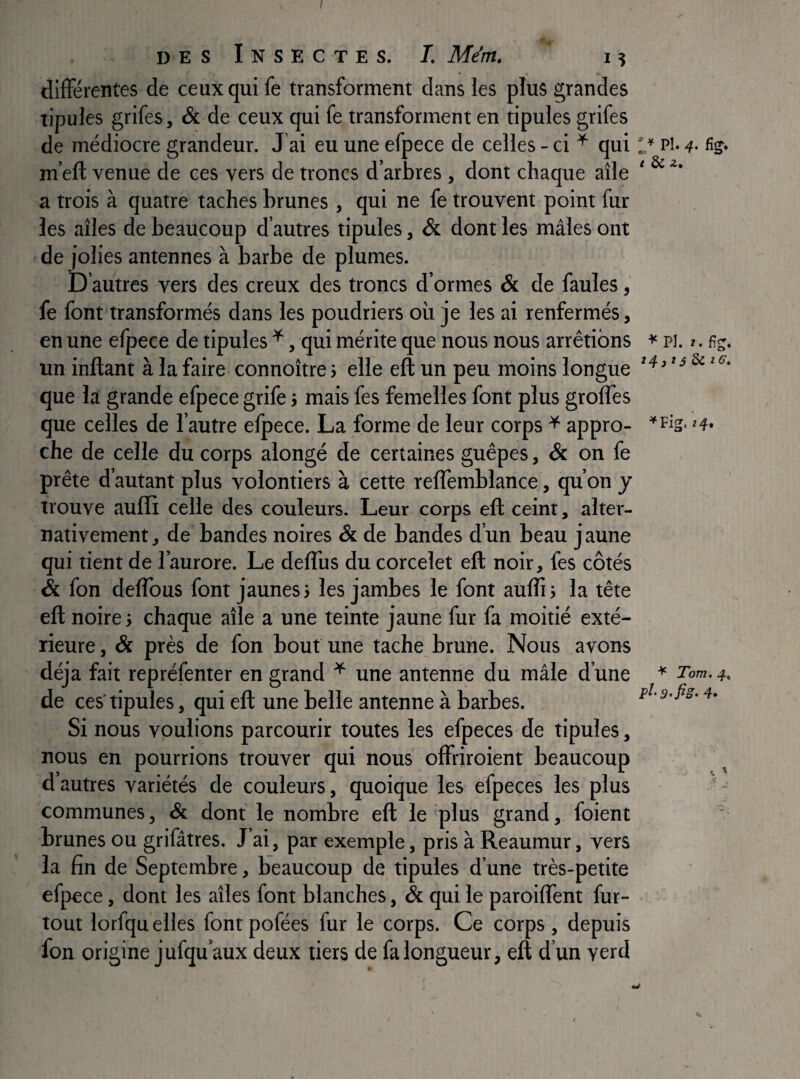 DES I N S E C T E S. L Ment. i ? difFérentes de ceux qui fe transforment dans les plus grandes tipules grifes, & de ceux qui fe transforment en tipules grifes de médiocre grandeur. J’ai eu une efpece de celles - ci ^ qui m’ell venue de ces vers de troncs d’arbres , dont chaque aile a trois à quatre taches brunes , qui ne fe trouvent point fur les ailes de beaucoup d’autres tipules, & dont les mâles ont de jolies antennes à barbe de plumes. D’autres vers des creux des troncs d’ormes & de faules, fe font transformés dans les poudriers où je les ai renfermés, en une efpece de tipules ^, qui mérite que nous nous arrêtions un inftant à la faire connoître j elle eft un peu moins longue que la grande efpece grife -, mais fes femelles font plus groffes que celles de l’autre efpece. La forme de leur corps ^ appro¬ che de celle du corps alongé de certaines guêpes, & on fe prête d’autant plus volontiers à cette reffemblance, qu’on y trouve auffi celle des couleurs. Leur corps eft ceint, alter¬ nativement, de bandes noires & de bandes d’un beau jaune qui tient de l’aurore. Le deflùs du corcelet eft noir, fes côtés & fon deffbus font jaunes} les jambes le font aufti} la tête eft noire} chaque aile a une teinte jaune fur fa moitié exté¬ rieure, Si près de fon bout une tache brune. Nous avons déjà fait repréfenter en grand ^ une antenne du mâle d’une de ces' tipules, qui eft une belle antenne à barbes. Si nous voulions parcourir toutes les efpeces de tipules, nous en pourrions trouver qui nous ofFriroient beaucoup d’autres variétés de couleurs, quoique les efpeces les plus communes, Sc dont le nombre eft le plus grand, foient brunes ou grifâtres. J ai, par exemple, pris à Reaumur, vers la fin de Septembre, beaucoup de tipules d’une très-petite efpece, dont les ailes font blanches, & qui le paroilFent fur- tout lorfqu elles font pofées fur le corps. Ce corps , depuis fon origine jufqu’aux deux tiers de fa longueur, eft d’un verd ’J Pl. 4. Sg, I & 2. B 24^2^ de 2 ^Fig. Z 4# ^ Tom. 4* 4. s •? ..