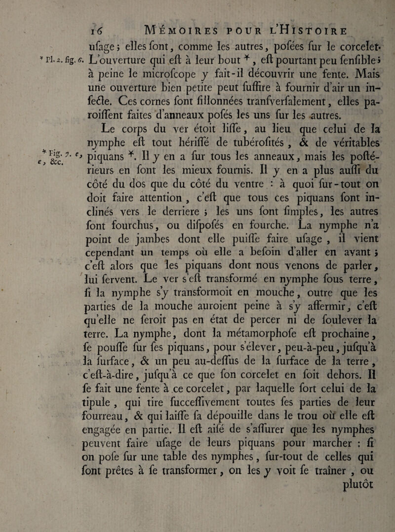 riz. * Fig. dcc. 7. e i6 Mémoires pour l’Histoire ufage ; elles font, comme les autres, pofées fur le corcelet* fig. <?• L’ouverture qui eft à leur bout ^, eft pourtant peu fenfible > à peine le microfcope y fait-il découvrir une fente. Mais une ouverture bien petite peut fuffire à fournir d’air un in- feéle. Ces cornes font fillonnées tranfverfalement, elles pa- roilTent faites d’anneaux pofés les uns fur les autres. Le corps du ver étoit lifle, au lieu que celui de la njmphe eft tout hérifle de tubérofités , & de véritables ' piquans L II j en a fur tous les anneaux, mais les pofté- rieurs en font les mieux fournis. Il j en a plus aufli du côté du dos que du côté du ventre : à quoi fur-tout on doit faire attention , c’eft que tous ces piquans font in¬ clinés vers le derrière > les uns font fimples, les autres font fourchus, ou difpofés en fourche. La nymphe n’a point de jambes dont elle puiftè faire ufage , il vient cependant un temps où elle a befoin d’aller en avant j c’eft alors que les piquans dont nous venons de parler, ^lui fervent. Le ver s’eft transformé en nymphe fous terre, fi la nymphe s’y pânsformoit en mouche, outre que les parties de la mouche auroient peine à s’y affermir, c’eft qu elle ne feroit pas en état de percer ni de foulever la terre. La nymphe, dont la métamorphofe eft prochaine, fe pouffe fur fes piquans, pour s’élever, peu-à-peu, jufqu’à la furface, & un peu au-deffus de la furface de la terre, c’eft-à-dire, jufqu’à ce que fon corcelet en foit dehors. Il fe fait une fente à .ce corcelet, par laquelle fort celui de la tipule , qui tire fucceflîvement toutes fes parties de leur fourreau, & qui laiffe fa dépouille dans le trou où elle eft engagée en partie. Il eft aifé de s’affurer que les nymphes peuvent faire ufage de leurs piquans pour marcher : lî on pofe fur une table des nymphes, fur-tout de celles qui font prêtes à fe transformer, on les y voit fe traîner , ou plutôt