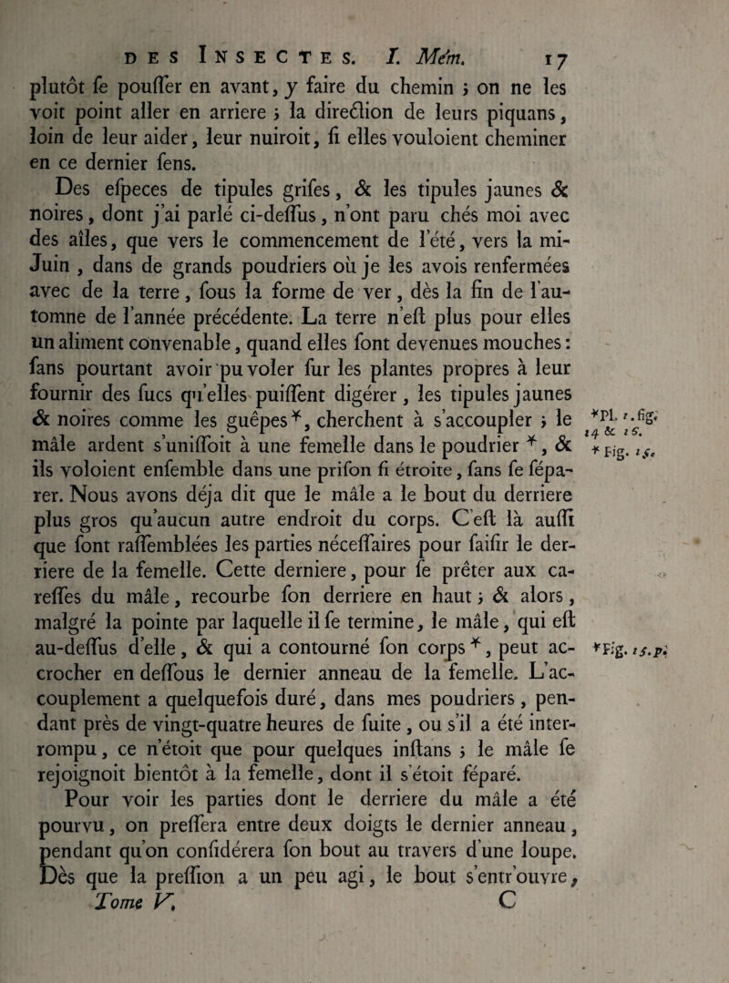 plutôt le poulTer en avant, y faire du chemin > on ne les voit point aller en arriéré i la direction de leurs piquans, loin de leur aider, leur nuiroit, li elles vouloient cheminer en ce dernier fens. Des efpeces de tipules grifes, & les tipules jaunes Si noires, dont j’ai parlé ci-delTus, n’ont paru chés moi avec des ailes, que vers le commencement de l’été, vers la mi- Juin , dans de grands poudriers où je les avois renfermées avec de la terre, fous la forme de ver, dès la fin de 1 au¬ tomne de l’année précédente. La terre n’eft plus pour elles un aliment convenable, quand elles font devenues mouches : fans pourtant avoir pu voler fur les plantes propres à leur fournir des fucs qu’elles puiffent digérer, les tipules jaunes & noires comme les guêpes^, cherchent à s’accoupler } le mâle ardent s’uniffoit à une femelle dans le poudrier , ils voloient enfemble dans une prifon fi étroite, fans fe fépa- rer. Nous avons déjà dit que le mâle a le bout du derrière plus gros qu’aucun autre endroit du corps. C eft là aulfi que font raflèmblées les parties nécelfaires pour faifir le der- „ riere de la femelle. Cette derniere, pour fe prêter aux ca- relfes du mâle, recourbe fon derrière en haut i & alors, malgré la pointe par laquelle il fe termine, le mâle, qui eft au-deffus d’elle , & qui a contourné fon corps ^, peut ac- nig. ts.pi crocher en delTous le dernier anneau de la femelle. L’ac¬ couplement a quelquefois duré, dans mes poudriers , pen¬ dant près de vingt-quatre heures de fuite , ou s’il a été inter¬ rompu , ce n’étoit que pour quelques inftans j le mâle fe rejoignoit bientôt à la femelle, dont il s’étoit féparé. Pour voir les parties dont le derrière du mâle a été pourvu, on prelfera entre deux doigts le dernier anneau, pendant qu’on confidérera fon bout au travers d une loupe. Dès que la prelfion a un peu agi, le bout s’entr ouvre, Tome V, C