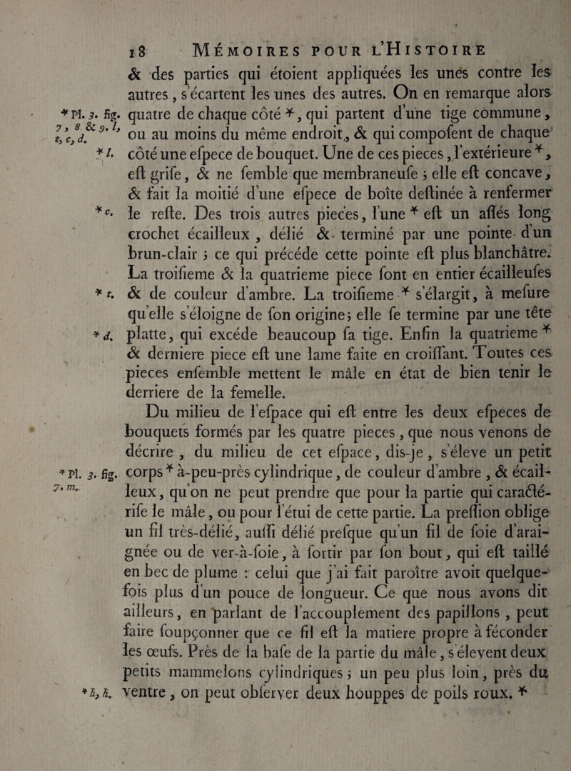 ^ t. ^d. i8 Mémoires pour lHistoire & des parties qui étoient appliquées les unes contre les autres, s’écartent les unes des autres. On en remarque alors fig. quatre de chaque côté ^, qui partent d’une tige commune^ uu au moins du même endroit., & qui compofent de chaque^ côté une efpece de bouquet. Une de ces pièces, l’extérieure eft grife, & ne femble que membraneufe j elle eft concave ^ & fait la moitié d’une efpece de boîte deftinée à renfermer le refte. Des trois autres pièces, l’une ^ eft un alïés long crochet écailleux, délié & terminé par une pointe-d un brun-clair 3 ce qui précédé cette pointe eft plus blanchâtre. La troifieme & la quatrième piece font en entier écailleufes & de couleur d ambre. La troifiemC'^ s’élargit, à mefure qu elle s’éloigne de fon origines elle fe termine par une tête platte, qui excède beaucoup fa tige. Enfin la quatrième^ & derniere piece eft une lame faite en croiftant. Toutes ces pièces enfemble mettent le mâle en état de bien tenir le derrière de la femelle. Du milieu de l’efpace qui eft entre les deux efpeces de bouquets formés par ies quatre pièces, que nous venons de décrire , du milieu de cet efpace, dis-je, s’élève un petit 3, fîg. corps^à-peu-près cylindrique, de couleur d’ambre , & écail¬ leux , qu’on ne peut prendre que pour la partie qui caraélé- rife le mâle, ou pour l’étui de cette partie. La prelfion oblige un fil très-délié, aulîi délié prefque qu’un fil de foie d’arai¬ gnée ou de ver-à-foie, à foriir par fon bout, qui eft taillé en bec de plume : celui que j’ai fait paroître avoit quelque¬ fois plus d’un pouce de longueur. Ce que nous avons dit ailleurs, en parlant de l’accouplement des papillons , peut faire foupçonner que ce fil eft la matière propre à féconder les œufs. Près de la bafe de la partie du mâle, séleventdeux petits mammelons cylindriques 3 un peu plus loin, près du lyK ventre, on peut obferver deux houppes de poils roux. ^ 7.