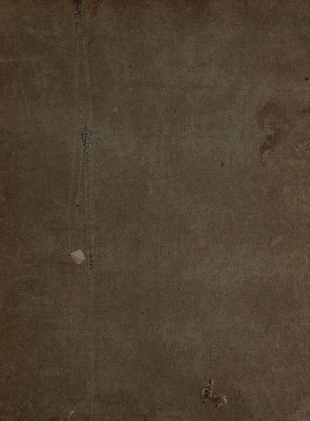 digitised image 1