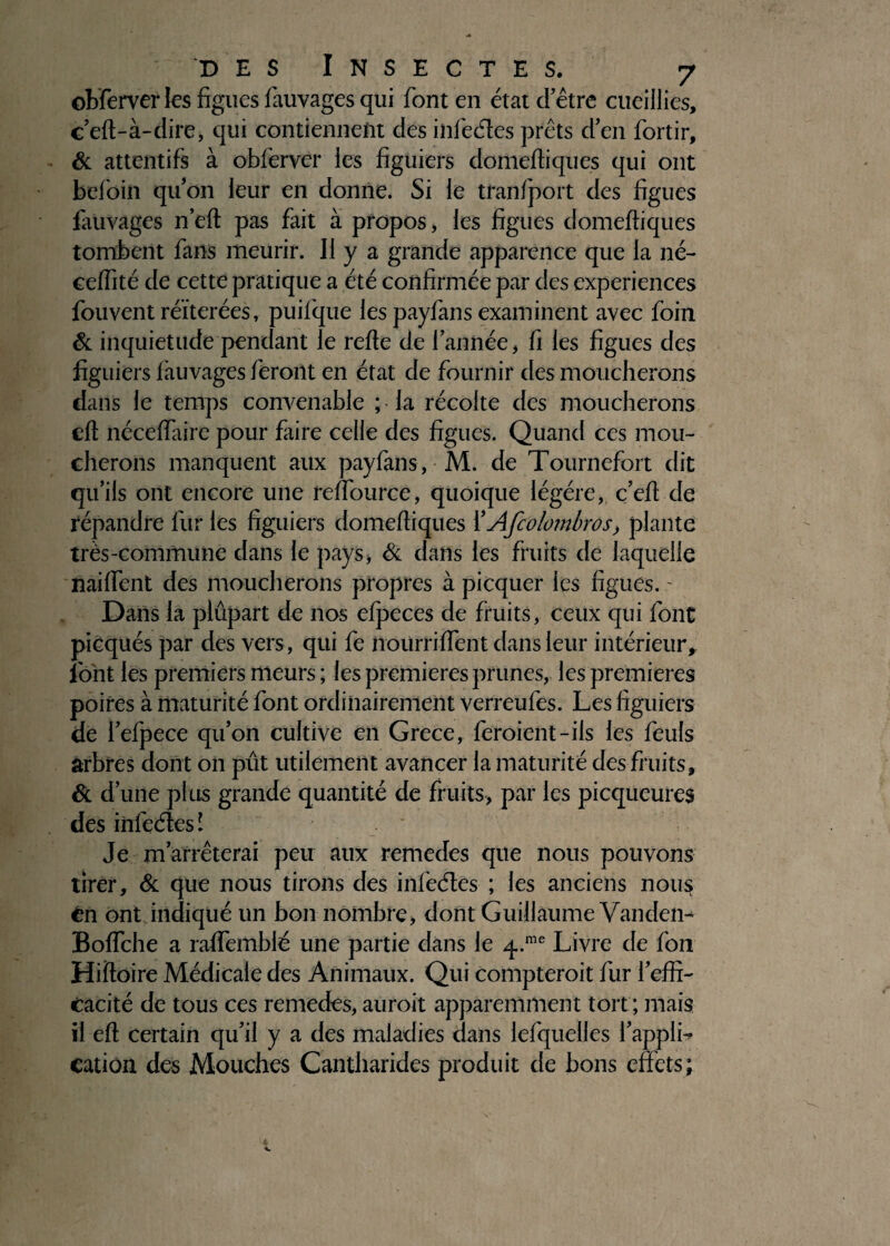 ©bferver les figues fauvages qui font en état d’être cueillies, c eft-à-dire, qui contiennent des infeétes prêts d’en fortir, & attentifs à obferver les figuiers domefiiques qui ont befoiii qu’on leur en donne. Si le tranfport des figues fauvages n’eft pas fait à propos, les figues domefiiques tombent fans meurir. Il y a grande apparence que la né- ceffité de cette pratique a été confirmée par des expériences fouvent réitérées, puifque les payfans examinent avec foin & inquiétude pendant le refie de l’année, fi les figues des figuiers fauvages feront en état de fournir des moucherons dans le temps convenable ; la récolte des moucherons efi néceffaire pour faire celle des figues. Quand ces mou¬ cherons manquent aux payfans, M. de Tournefort dit qu’ils ont encore une reffource, quoique légère, c’efi de répandre furies figuiers domefiiques XAfcolombros, plante très-commune dans le pays, & dans les fruits de laquelle naiffent des moucherons propres à picquer les figues. ~ Dans la plûpart de nos efpeces de fruits, ceux qui font picqués par des vers, qui fe noürriflent dans leur intérieur,, font les premiers meurs ; les premières prunes, les premières poires à maturité font ordinairement verreufes. Les figuiers de l’efpece qu’on cultive en Grece, feroient-ils les feuls arbres dont on pût utilement avancer la maturité des fruits, & d’une plus grande quantité de fruits, par les picqueures des infeéles! Je m’arrêterai peu aux remedes que nous pouvons tirer, & que nous tirons des infeéles ; les anciens nous ên ont indiqué un bon nombre, dont Guillaume Vanden- Boffche a raffemblé une partie dans le q.™6 Livre de fon Hiifoire Médicale des Animaux. Qui compteroit fur l’effi¬ cacité de tous ces remedes, auroit apparemment tort ; mais il eft certain qu’il y a des maladies dans lefquelles l’applL cation des Mouches Cantharides produit de bons effets;