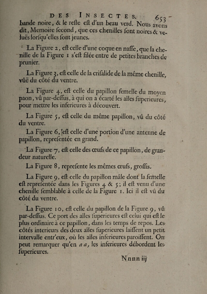 bande noire, & le relie eft d'un beau yerd. Nous avons dit, Mémoire fécond, que ces chenilles font noires & ve¬ lues lorfqu’elles font jeunes. ’ La Figure 2, ell celle dune coque en nafle, que la che¬ nille de la Figure 1 s eh filée entre de petites branches de prunier. La Figure 3, eh celle de la crifalide de la même chenille, vue du côté du ventre. La Figure 4, eh celle du papillon femelle du moyen paon, vupar-dehus, à qui on a écarté les ailes fuperieures, pour mettre les inferieures à découvert. La Figure 5, eh celle du même papillon, vu du côté du ventre. La Figure 6, [eh celle dune portion d'une antenne de papillon, reprefentée en grand. La Figure 7, eh celle des œufs de ce papillon, de gran¬ deur naturelle. La Figure 8, reprefente les mêmes œufs, grohis. La Figure 9, eh celle du papillon mâle dont la femelle eh reprefentée dans les Figures 4 & 5 ; il eh venu d’une chenille femblable à celle de la Figure 1. Ici il eh vû du côté du ventre. La Figure 10, eh celle du papillon de la Figure 9, vû par-dehus. Ce port des ailes fuperieures eh celui qui eh le plus ordinaire à ce papillon, dans les temps de repos. Les côtés intérieurs des deux ailes fuperieures laihent un petit intervalle entr'eux, où les ailes inferieures paroiffent. On peut remarquer qu'en a a, les inferieures débordent les fuperieures. Nnnn iij