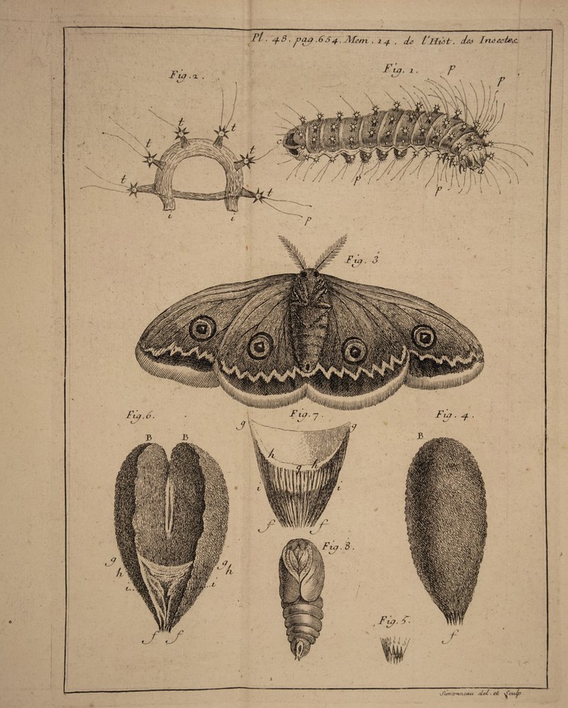 —*— Pt. 4 3 . pay .654. Afem 14. de L'ifajt. die* Infectes.. yfïm.tmjrteaii ald. . et <Scu