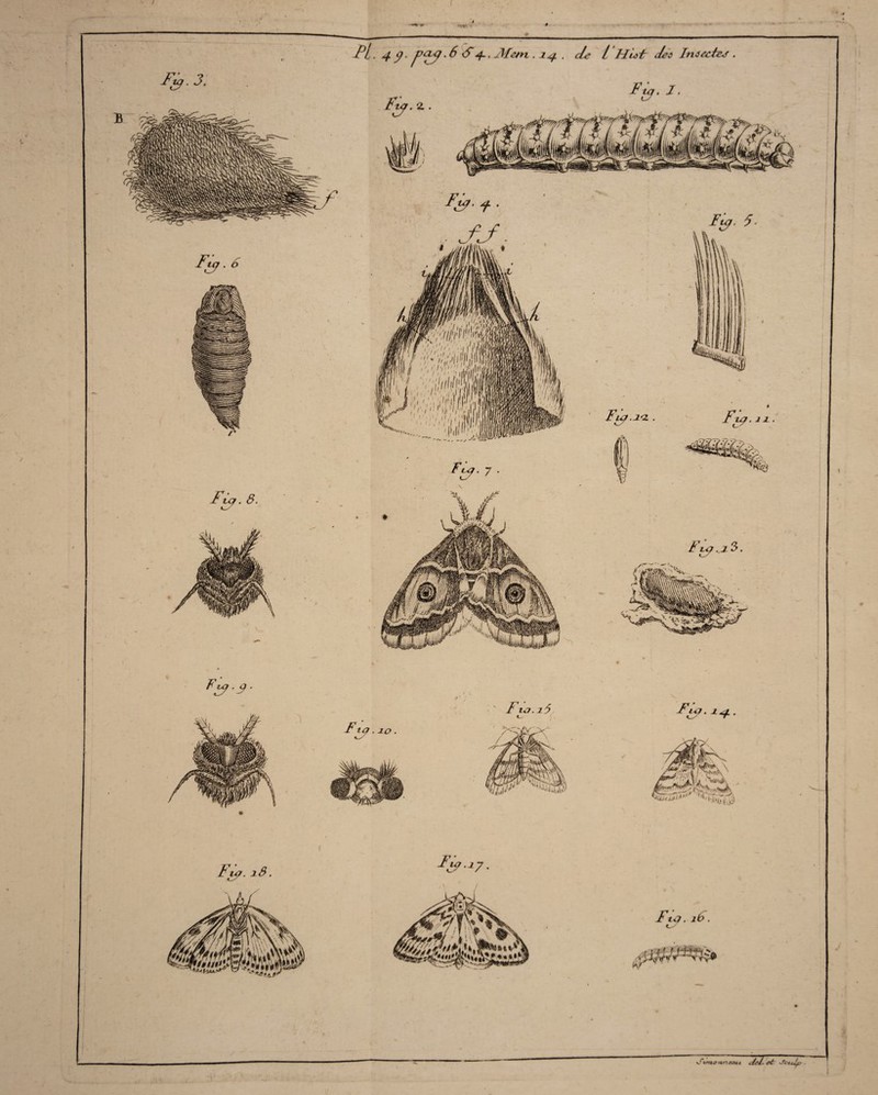 / F«,.3: Fuj. 6 FvCf. 8. Fiy.y. Fl. 4 y. payy .6 S4-. Ment. 24 . de l HLsir Jet Insectes . Fty, I. Fuy. 2. . u T fl, F/ jF> i!r të,.ÂW,$. feH fu?- 18. *£*ti.9* Fia. 26 C Ftj . 2.0 2<Z Fl &■ 2 2 ■V Fia. Ftcf.ib. 0m***- v' .Fl et sfC4.t/y> .