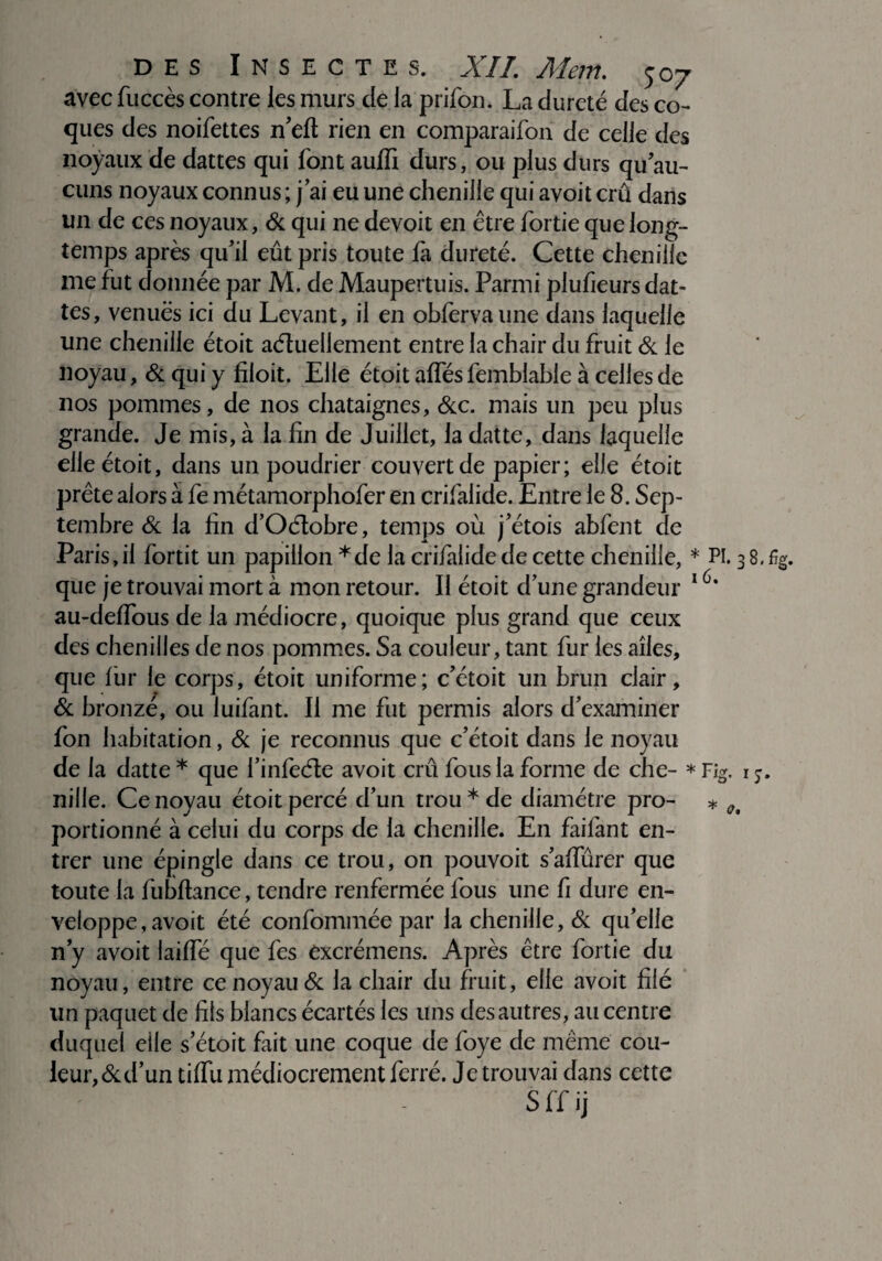 avec fiiccès contre les murs de la prifon. La dureté des co¬ ques des noifettes n’eft rien en comparaifon de celle des noyaux de dattes qui font auffi durs, ou plus durs qu’au¬ cuns noyaux connus ; j ai eu une chenille qui avoit crû dans un de ces noyaux, 8c qui ne devoit en être fortie que long¬ temps après qu’il eût pris toute fa dureté. Cette chenille me fut donnée par M. de Maupertuis. Parmi plufieurs dat¬ tes, venues ici du Levant, il en obfervaune dans laquelle une chenille étoit actuellement entre la chair du fruit & le noyau, & qui y filoit. Elle étoit affés femblable à celles de nos pommes, de nos châtaignes, 8cc. mais un peu plus grande. Je mis, à la fin de Juillet, la datte, dans laquelle elle étoit, dans un poudrier couvert de papier; elle étoit prête alors à fe métamorphofer en crifalide. Entre le 8. Sep¬ tembre 8c la fin d’Oélobre, temps où j’étois abfent de Paris, il fortit un papillon *de la crifalide de cette chenille, * Pi. 38.%. que je trouvai mort à mon retour. Il étoit d’une grandeur 16‘ au-deffous de la médiocre, quoique plus grand que ceux des chenilles de nos pommes. Sa couleur, tant fur les ailes, que fur le corps, étoit uniforme; c’étoit un brun clair, & bronzé, ou luifant. Il me fut permis alors d’examiner fon habitation, 8c je reconnus que c’étoit dans le noyau de la datte * que i’infeéte avoit crû fous la forme de che- * Fig. 1 j. nille. Ce noyau étoit percé d’un trou * de diamètre pro- * 0t portionné à celui du corps de la chenille. En faifant en¬ trer une épingle dans ce trou, on pouvoit s’affûrer que toute la fubftance, tendre renfermée fous une fi dure en¬ veloppe, avoit été confomméepar la chenille, & qu’elle n’y avoit laiffé que fes excrémens. Après être fortie du noyau, entre ce noyau 8c la chair du fruit, elle avoit filé lin paquet de fils blancs écartés les uns des autres, au centre duquel elle s’étoit fait une coque de foye de même cou¬ leur, &d’un tiffu médiocrement ferré. Je trouvai dans cette