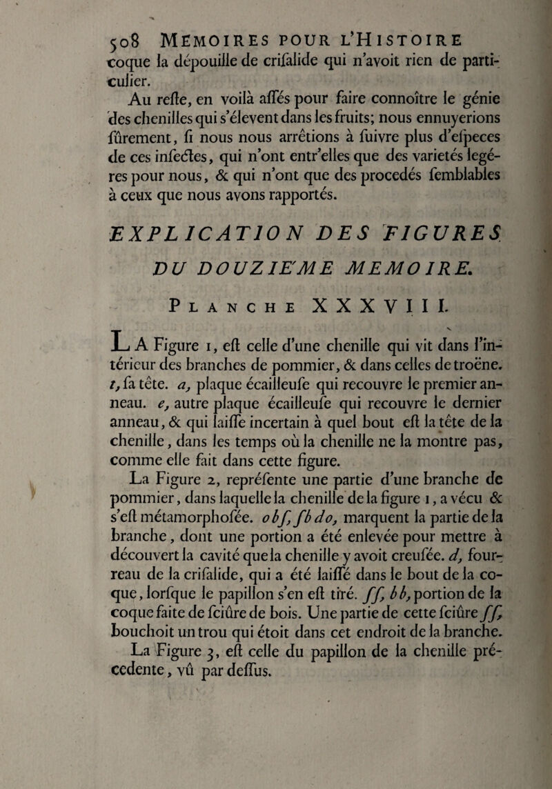 coque la dépouille de crifalide qui n’avoit rien de parti¬ culier. Au refte, en voilà affés pour faire connoître le génie des chenilles qui s’élèvent dans les fruits; nous ennuyerions fûrement, fi nous nous arrêtions à fuivre plus d’efpeces de ces infedtes, qui n’ont entr’elles que des variétés légè¬ res pour nous, & qui n’ont que des procédés femblables à ceux que nous avons rapportés. EXPLICATION DES FIGURES DU DOUZIEME MEMO IRE. Planche XXXVIII. L A Figure i, eft celle d’une chenille qui vit dans l’in¬ térieur des branches de pommier, & dans celles detroëne. r,fa tête, a, plaque écailleufe qui recouvre le premier an¬ neau. e, autre plaque écailleufe qui recouvre le dernier anneau, & qui laide incertain à quel bout eft la tête de la chenille, dans les temps où la chenille ne la montre pas, comme elle fait dans cette figure. La Figure 2, repréfente une partie d’une branche de pommier, dans laquelle la chenille delà figure 1, a vécu ôc s’eft métamorphofée. obf, fbdo, marquent la partie de la branche, dont une portion a été enlevée pour mettre à découvert la cavité que la chenille y avoit creufée. d, four¬ reau de la crifalide, qui a été laiffé dans le bout de la co¬ que, lorfque le papillon s’en eft tiré, ff, b b, portion de la coque faite de fciûre de bois. Une partie de cette fciûre ff, bouchoit un trou qui étoit dans cet endroit de la branche. La Figure 3, eft celle du papillon de la chenille pré¬ cédente , vu par deffus.