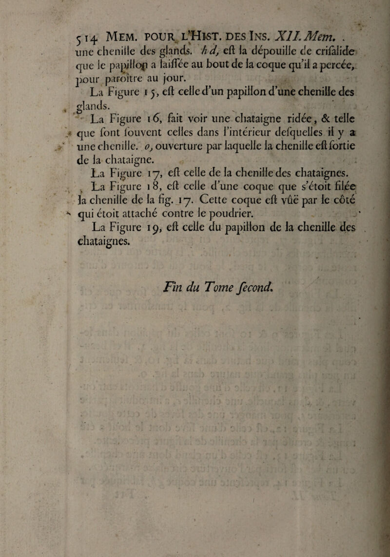 line chenille des glands, h d, eft la dépouille de crifàlide que le papillon a laiiîee au bout de la coque qu’il a percée, pour paroître au jour. La Figure 1 5, eft celle d’un papillon d’une chenille des glands. La Figure 16, fait voir une châtaigne ridée, & telle que font fouvent celles dans l’intérieur defquelies il y a une chenille. 0, ouverture par laquelle la chenille eftfortie de la châtaigne. La Figure 17, eft celle de la chenille des châtaignes. La Figure 1 8, eft celle d’une coque que s’étoit filée la chenille de la fig. 17. Cette coque eft vûë par le côté qui étoit attaché contre le poudrier. La Figure 19, eft celle du papillon de la chenille des châtaignes. Fin du Tome fécond.