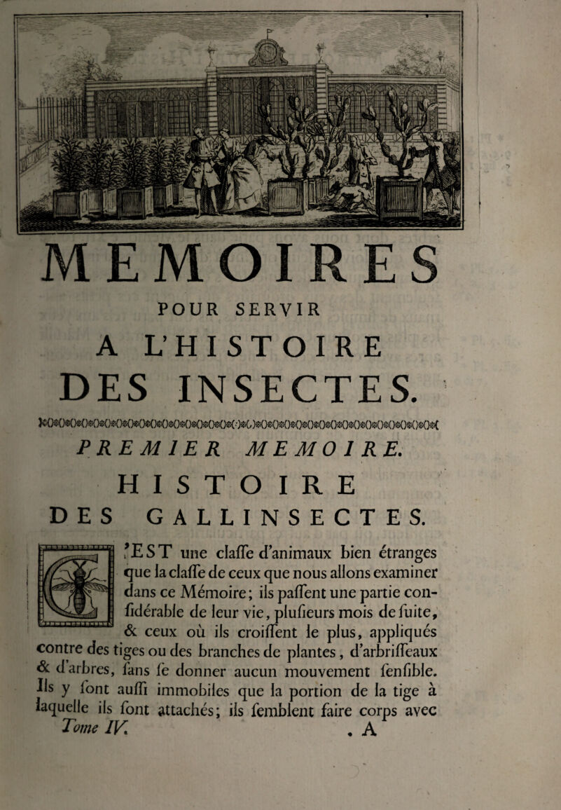 POUR SERVIR A L’HISTOIRE DES INSECTES. PREMIER MEMOIRE. HISTOIRE DES GALLINSECTE S. l*EST une claffe d’animaux bien étranges que la claffe de ceux que nous allons examiner dans ce Mémoire; ils paffent une partie con- fklérable de leur vie, plufieurs mois de fuite, & ceux où ils croiffent le plus, appliqués contre des tiges ou des branches de plantes, d’arbriffeaux & d arbres, fans le donner aucun mouvement fenfible. Es y font auffi immobiles que la portion de la tige à laquelle ils font attachés; ils fembient faire corps avec