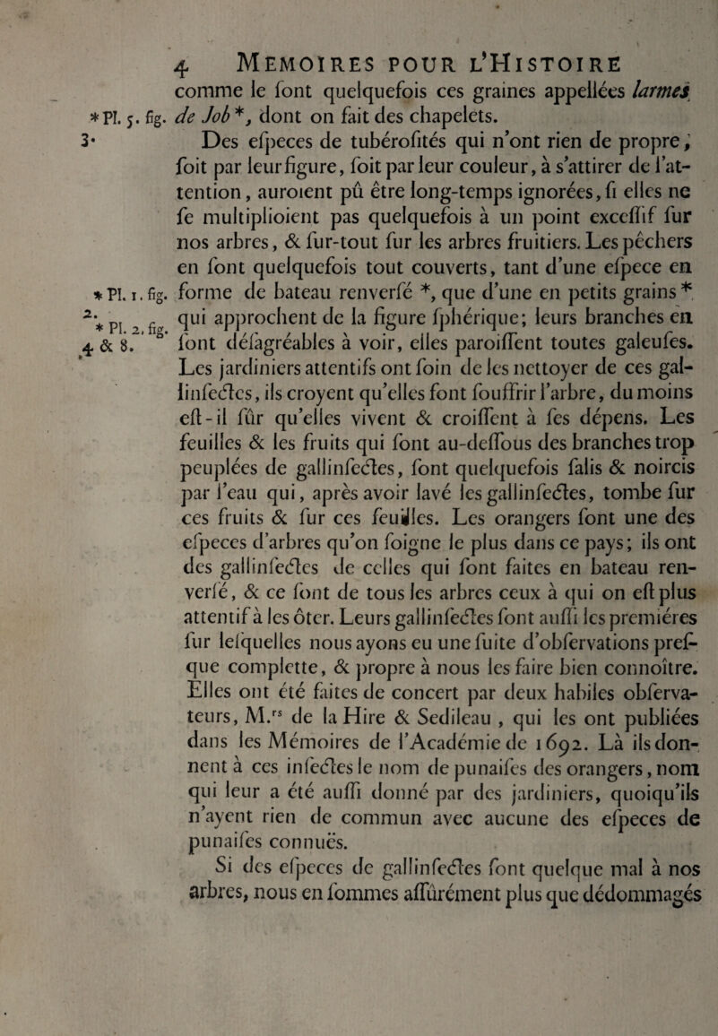 *PÏ. 5. fig. 3- * Pî. 1. fig. 2. * PI. 2, fig. 4. & 8. » * 4 MEMOIRES POUR L'HiSTOIRE comme le font quelquefois ces graines appellées larmes de Job dont on fait des chapelets. Des efpeces de tubérofités qui n’ont rien de propre, foit par leur figure, foit par leur couleur, à s’attirer de 1 at¬ tention, auroient pû être long-temps ignorées,fi elles ne fe multiplioient pas quelquefois à un point exceffif fur nos arbres, & fur-tout fur les arbres fruitiers. Les pêchers en font quelquefois tout couverts, tant d’une efpece en forme de bateau renverfé *, que d’une en petits grains * qui approchent de la figure fphérique; leurs branches en font défàgréables à voir, elles paroiffent toutes galeufes. Les jardiniers attentifs ont foin de les nettoyer de ces gal- linfedes, ils croyent qu’elles font fouflfrir l’arbre, du moins eft-il fur qu’elles vivent & croiffent à fes dépens. Les feuilles & les fruits qui font au-defifous des branches trop peuplées de gallinfedes, font quelquefois falis & noircis par l’eau qui, après avoir lavé les gallinfedes, tombe fur ces fruits & fur ces feuilles. Les orangers font une des efpeces d’arbres qu’on foigne le plus dans ce pays; ils ont des gallinfeéles de celles qui font faites en bateau ren- verfé, & ce font de tous les arbres ceux à qui on eftplus attentif à les ôter. Leurs gallin fedes font auffi les premières fur lelquelles nous ayons eu une fuite d’obfervations pres¬ que complette, & propre à nous les faire bien connoître. Elles ont été faites de concert par deux habiles obferva- teurs, M.rs de la Hire & Sedileau , qui les ont publiées dans les Mémoires de l’Académie de 1692. Là ils don¬ nent à ces infedes le nom de punaifes des orangers, nom qui leur a été auffi donné par des jardiniers, quoiqu’ils n’ayent rien de commun avec aucune des efpeces de punaifes connues. Si des efpeces de gai I infedes font quelque mal à nos arbres, nous en fommes affinement plus que dédommagés