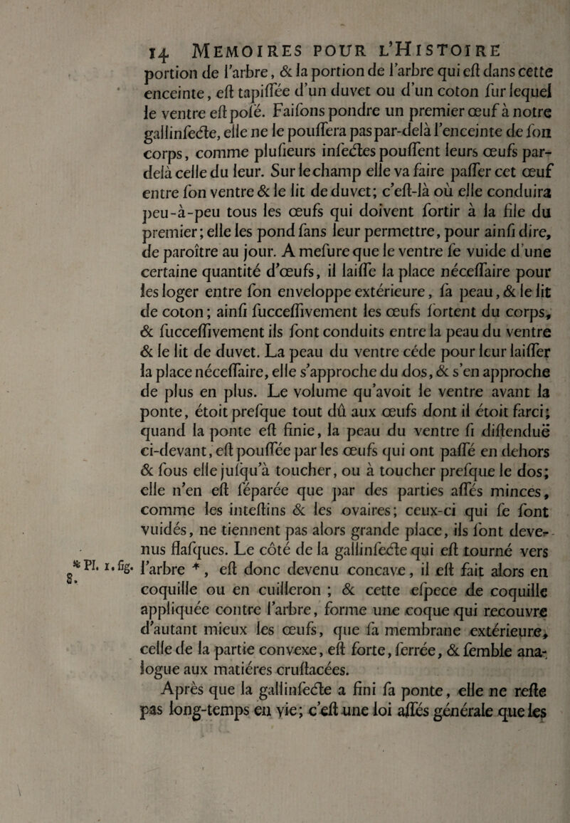 8. \ 14 MEMOIRES POUR L’HiSTOIRE portion de 1 arbre, & la portion de 1 arbre qui eft dans cette enceinte, eft tapiffée d’un duvet ou d’un coton fur lequel le ventre eft pôle. Faifons pondre un premier œuf à notre gailinfede, elle ne le pouffera pas par-delà lenceinte de fon corps, comme plufieurs infedes pouffent leurs œufs par- delà celle du leur. Sur le champ elle va faire paffercet œuf entre fon ventre & le lit de duvet; c'eft-là où elle conduira peu-à-peu tous les œufs qui doivent fortir à la file du premier; elle les pond fans leur permettre, pour ainfi dire, de paroître au jour. A mefure que le ventre fe vuide dïine certaine quantité d'œufs, il laide la place néceffaire pour les loger entre fon enveloppe extérieure, fa peau, & fe lit de coton; ainfi fucceffivement les œufs fortent du corps, & fucceffivement ils font conduits entre la peau du ventre & le lit de duvet. La peau du ventre cède pour leur laiffer la place néceffaire, elle s'approche du dos, & s’en approche de plus en plus. Le volume qu’avoit le ventre avant la ponte, étoit prefque tout dû aux œufs dont il étoit farci; quand la ponte eft finie, la peau du ventre fi diftenduë ci-devant, eft pouffée par les œufs qui ont paffé en dehors ôc fous elle jufqu'à toucher, ou à toucher prefque le dos; elle n'en eft féparée que par des parties affés minces, comme les inteftins & les ovaires; ceux-ci qui fe font vuidés, ne tiennent pas alors grande place, ils font deve?- nus flafques. Le côté de la gailinfede qui eft tourné vers • l'arbre *, eft donc devenu concave, il eft fait alors en coquille ou en ouiUeron ; & cette efpece de coquille appliquée contre l'arbre, forme une coque qui recouvre d'autant mieux les œufs, que fa membrane extérieure, celle de la partie convexe, eft forte, ferrée, & femble ana¬ logue aux matières cruftacées. Après que la gallinfeéle a fini fa ponte, elle ne refte pas long-temps en yie ; c'eft une loi affés générale que les