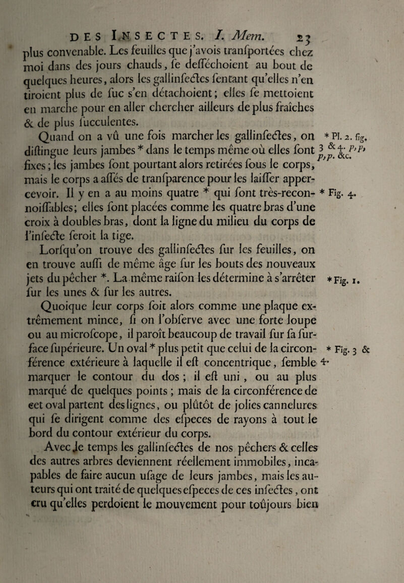 plus convenable. Les feuilles que j’avois tranfportées chez moi dans des jours chauds, fe defféchoient au bout de quelques heures, alors les galiinfeétes Tentant qu’elles n’en tiroient plus de fuc s’en détachoient; elles fe mettoient îe pour en aller chercher ailleurs de plus fraîches en marc & de plus fucculentes. Quand on a vû une fois marcher les galiinfeétes, on *PI. 2. %. diftingue leurs jambes * dans le temps même où elles font fixes ; les jambes font pourtant alors retirées fous le corps, mais le corps a affés de tranfparence pour les laiifer apper- cevoir. Il y en a au moins quatre * qui font très-recon- * Fig. 4. noiflables; elles font placées comme les quatre bras d’une croix à doubles bras, dont la ligne du milieu du corps de l’infeéte feroit la tige. Lorfqu’on trouve des galiinfeétes fur les feuilles, on en trouve auffi de même âge fur les bouts des nouveaux jets du pêcher *. La.même raifon les détermine à s’arrêter *Fig. 1. fur les unes & fur les autres. Quoique leur corps foit alors comme une plaque ex¬ trêmement mince, fi on l’obferve avec une forte loupe ou au microfcope, il paroît beaucoup de travail fur fa fur- face fupérieure. Un oval * plus petit que celui de la circon- * Fig. 3 & férence extérieure à laquelle il efl; concentrique, femble *• marquer le contour du dos ; il efl uni, ou au plus marqué de quelques points ; mais de la circonférence de eet oval partent des lignes, ou plûtôt de jolies cannelures qui fe dirigent comme des efpeces de rayons à tout le bord du contour extérieur du corps. Avec Je temps les galiinfeétes de nos pêchers & celles des autres arbres deviennent réellement immobiles, inca¬ pables de faire aucun ufage de leurs jambes , mais les au- teurs qui ont traité de quelques efpeces de ces infeéles , ont cru qu’elles perdoient le mouvement pour toujours bien