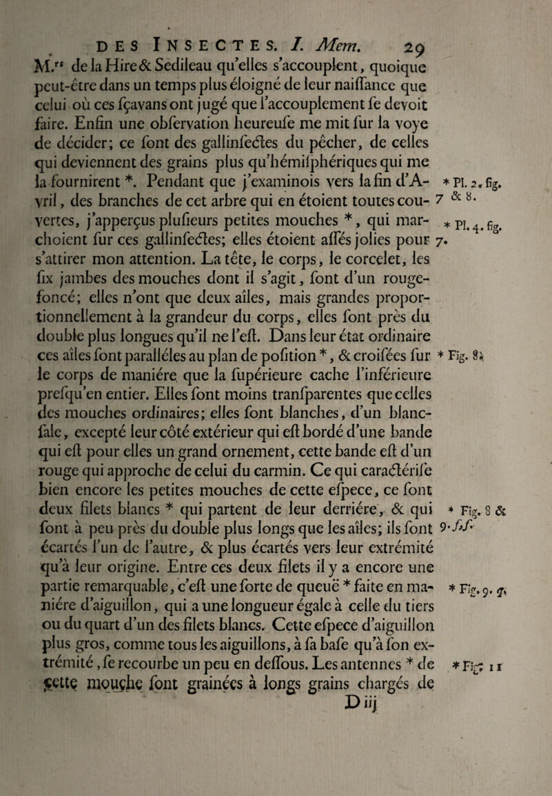 M.“ delaHire&Sedileau qu’elles s’accouplent, quoique peut-être dans un temps plus éloigné de leur nailfance que celui où ces fçavans ont jugé que l’accouplement fe dévoie faire. Enfin une obfervation heureufe me mit fur la voye de décider; ce font des gallinfeéîes du pêcher, de celles qui deviennent des grains plus qu’hémilphériques qui me la fournirent *. Pendant que j’examinois vers la fin d’A- *pi. j.fig. vril, des branches de cet arbre qui en étoient toutes cou- 7 & vertes, j’apperçus plufieurs petites mouches *, qui mar- *pi , choient fur ces gallinfeéîes; elles étoient afles jolies pour 7. s’attirer mon attention. La tête, le corps, le corcelet, les fix jambes des mouches dont il s’agit, font d’un rouge- foncé; elles n’ont que deux ailes, mais grandes propor¬ tionnellement à la grandeur du corps, elles font près du double plus longues qu’il ne l’eft. Dans leur état ordinaire ces ailes font parallèles au plan de pofition *, & croifées fur * Fig. 8; le corps de manière, que la fupérieure cache l’inférieure prefqu’en entier. Elles font moins tranfparentes que celles des mouches ordinaires; elles font blanches, d’un blanc- laie , excepté leur côté extérieur qui eft bordé d’une bande qui eft pour elles un grand ornement, cette bande eft d’un rouge qui approche de celui du carmin. Ce qui caraélérife bien encore les petites mouches de cette elpece, ce font deux filets blancs * qui partent de leur derrière, & qui * Fig. 8 & font à peu près du double plus longs que les ailes; ils font écartés l’un de l’autre, & plus écartés vers leur extrémité qu’à leur origine. Entre ces deux filets il y a encore une partie remarquable, c’eft une forte de queuë * faite en ma- * Fig. 9. q. niére d’aiguillon, qui a une longueur égale à celle du tiers ou du quart d’un des filets blancs. Cette efpece d’aiguillon plus gros, comme tous les aiguillons, à là bafe qu afon ex¬ trémité , le recourbe un peu en delfous. Les antennes * de * Fig: 11 jçette mouçhe fout grainées à longs grains chargés de D iij
