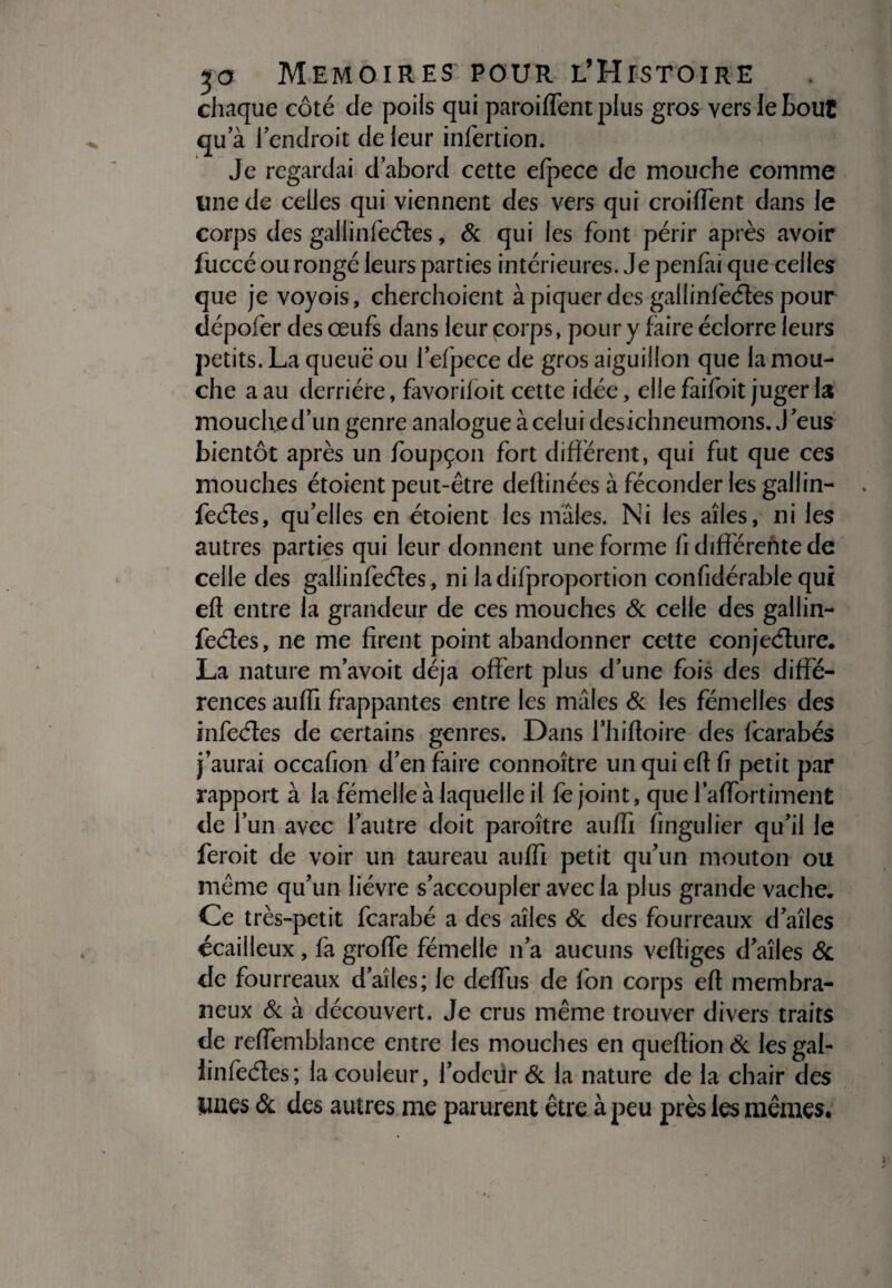 chaque côté de poils qui paroilfentplus gros vers le bout qu’à l’endroit de leur infertion. Je regardai d’abord cette efpece de mouche comme line de celles qui viennent des vers qui croiffent dans le corps des gallinfedes, & qui les font périr après avoir fuccé ou rongé leurs parties intérieures. Je penfai que celles que je voyois, cherchoient à piquer des gallinfedes pour dépofer des œufs dans leur corps, pour y faire éclorre leurs petits. La queue ou lefpece de gros aiguillon que la mou¬ che a au derrière, favorifoit cette idée, elle faifoit juger la mouche d’un genre analogue à celui desichneumons. J'eus bientôt après un foupçon fort différent, qui fut que ces mouches étoient peut-être deftinées à féconder les gallin¬ fedes, qu’elles en étoient les mâles. Ni les ailes, ni les autres parties qui leur donnent une forme fi différente de celle des gallinfedes, ni ladifproportion confidérable qui eft entre la grandeur de ces mouches & celle des gallin¬ fedes, ne me firent point abandonner cette conjedure. La nature m’avoit déjà offert plus d'une fois des diffé¬ rences auffi frappantes entre les mâles & les fémelles des infedes de certains genres. Dans i’hifioire des Icarabés j’aurai occafion d’en faire connoître un qui eft fi petit par rapport à la fémelie à laquelle il le joint, que l’affortiment de l’un avec l’autre doit paroître auffi fingulier qu’il le feroit de voir un taureau auffi petit qu’un mouton ou même qu’un lièvre s’accoupler avec la plus grande vache. Ce très-petit fcarabé a des ailes & des fourreaux d’aîles écailleux, fa groffe fémelie n’a aucuns vertiges d’aîles & de fourreaux d’aîles; le deffus de fon corps eft membra¬ neux & à découvert. Je crus même trouver divers traits de relfembiance entre les mouches en queftiondc lesgal- iinfedes; la couleur, l’odeur & la nature de la chair des unes & des autres me parurent être à peu près les mêmes*