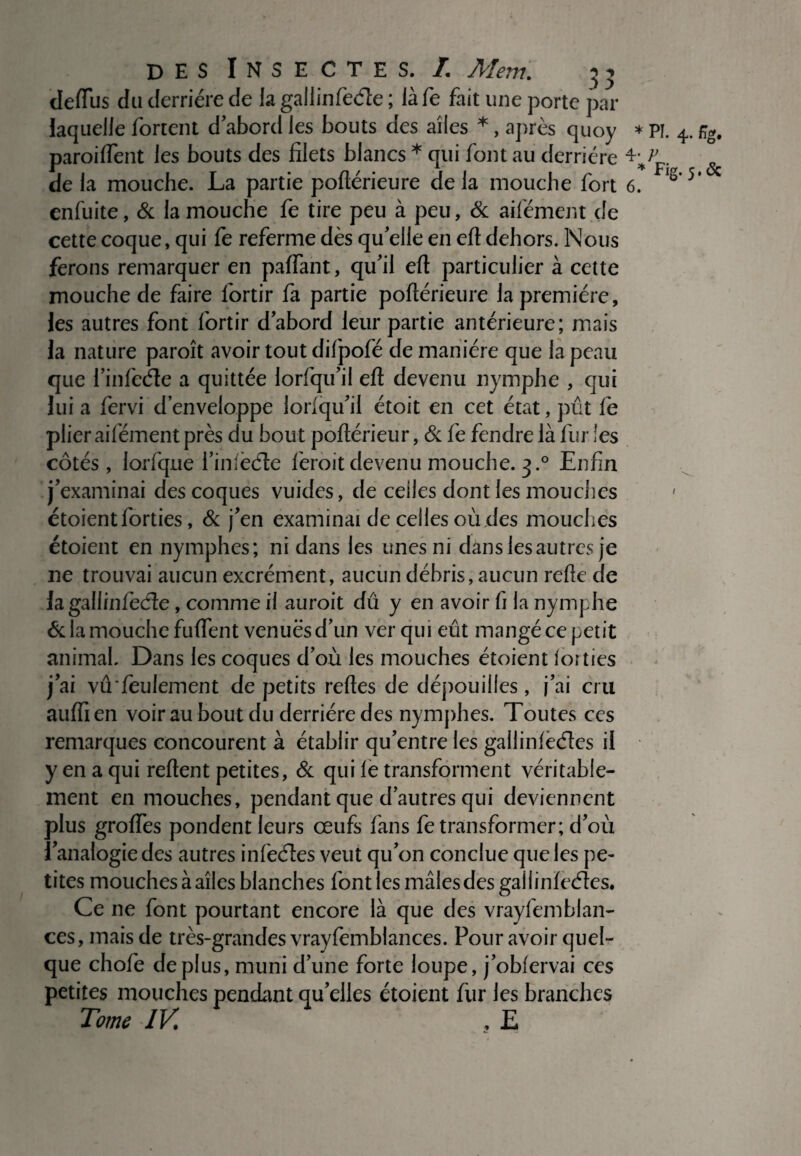 deftus du derrière de la gallinfeéîe ; iàfe fait une porte par laquelle fortent d abord les bouts des ailes *, après quoy * paroiflent les bouts des filets blancs * qui font au derrière 4; de la mouche. La partie poftèrieure de ia mouche fort 6. enfuite, & la mouche fe tire peu à peu, & aifèment de cette coque, qui fe referme dès qu'elle en eft dehors. Nous ferons remarquer en paftant, qu'il eft particulier à cette mouche de faire fortir fa partie poftèrieure la première, les autres font fortir d’abord leur partie antérieure; mais la nature paroît avoir tout difpofé de manière que la peau que l'infeéle a quittée lorfqu'il eft devenu nymphe , qui lui a fervi d’enveloppe lorfqu'il étoit en cet état, pût fe plier aifèment près du bout poftérieur, &fe fendre là fur les côtés, lorfque l'inleéle feroit devenu mouche. 3.0 Enfin j’examinai des coques vuides, de celles dont les mouches étoientforties, & j’en examinai de celles où des mouches étoient en nymphes; ni dans les unes ni dans les autres je 11e trouvai aucun excrément, aucun débris, aucun refte de la gallinfecfte , comme il auroit dû y en avoir fi la nymphe & la mouche fuftent venues d'un ver qui eût mangé ce petit animal. Dans les coques d’où les mouches étoient lorties j’ai vû feulement de petits reftes de dépouilles, j’ai cru auiïien voir au bout du derrière des nymphes. Toutes ces remarques concourent à établir qu'entre les gallinfëéles il y en a qui relient petites, & qui le transforment véritable¬ ment en mouches, pendant que d'autres qui deviennent plus groftes pondent leurs œufs fans fe transformer; d’où l’analogie des autres infeéles veut qu'on conclue que les pe¬ tites mouchesàaîles blanches font les mâles des gallinfeéîes. Ce ne font pourtant encore là que des vrayfemblan- ces, mais de très-grandes vrayfemblances. Pour avoir quel¬ que chofe déplus, muni d'une forte loupe, j'obfervai ces petites mouches pendant quelles étoient fur les branches Tome TV. . E pï. 4. fig, v Fig. 5. <5c