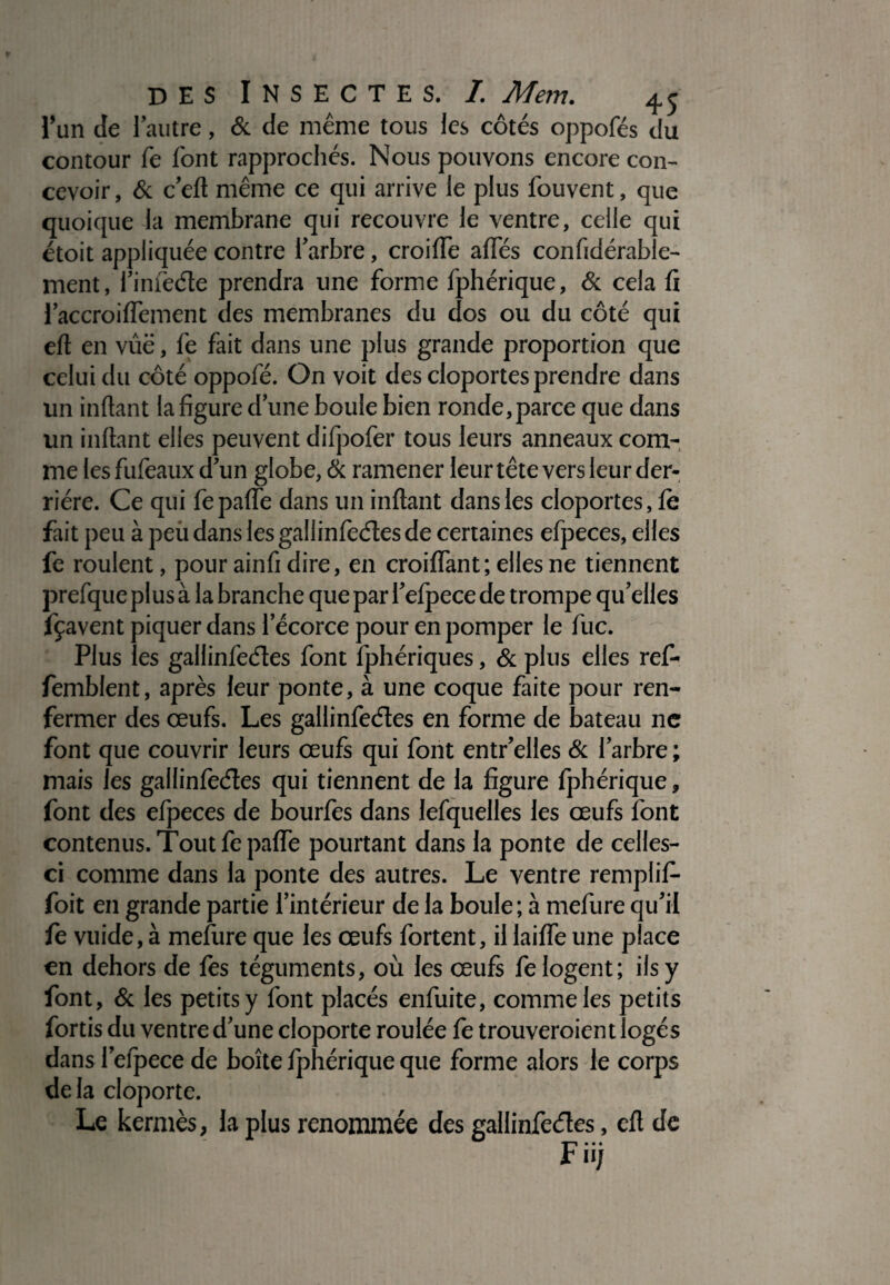 l’un de l’autre, & de même tous les côtés oppofés du contour fe font rapprochés. Nous pouvons encore con¬ cevoir, & c’eft même ce qui arrive le plus fouvent, que quoique la membrane qui recouvre le ventre, celle qui étoit appliquée contre l’arbre, croilTe allés confidérable- ment, l’infeéte prendra une forme fphérique, & cela li l’accroilfement des membranes du dos ou du côté qui cil en vûë, fe fait dans une plus grande proportion que celui du côté oppofé. On voit des cloportes prendre dans un inftant la figure d’une boule bien ronde,parce que dans un inftant elles peuvent difpofer tous leurs anneaux com¬ me lesfufeaux d’un globe, & ramener leur tête vers leur der¬ rière. Ce qui fepalfe dans un inftant dans les cloportes, le fait peu à peii dans les gallinlèéles de certaines efpeces, elles fe roulent, pour ainfi dire, en croilfant ; elles ne tiennent prefque plus à la branche que par l’efpece de trompe qu’elles fçavent piquer dans l’écorce pour en pomper le fuc. Plus les gallinfeéles font fphériques, & plus elles ref- femblent, après leur ponte, à une coque faite pour ren¬ fermer des œufs. Les gallinfeéles en forme de bateau ne font que couvrir leurs œufs qui font entr’elles & l’arbre ; mais les gallinfeéles qui tiennent de la figure fphérique, font des efpeces de bourfes dans lefquelles les œufs font contenus. Tout fepalfe pourtant dans la ponte de celles- ci comme dans la ponte des autres. Le ventre remplif- foit en grande partie l’intérieur de la boule; à mefure qu’il fe vuide, à mefiire que les œufs fortent, il lailfe une place en dehors de fes téguments, où les œufs fe logent; ils y font, & les petits y font placés enfuite, comme les petits fortis du ventre d’une cloporte roulée fe trouveroient logés dans l’efpece de boîte fphérique que forme alors le corps de la cloporte. Le kermès, la plus renommée des gallinfeéles, eft de Jb 11/