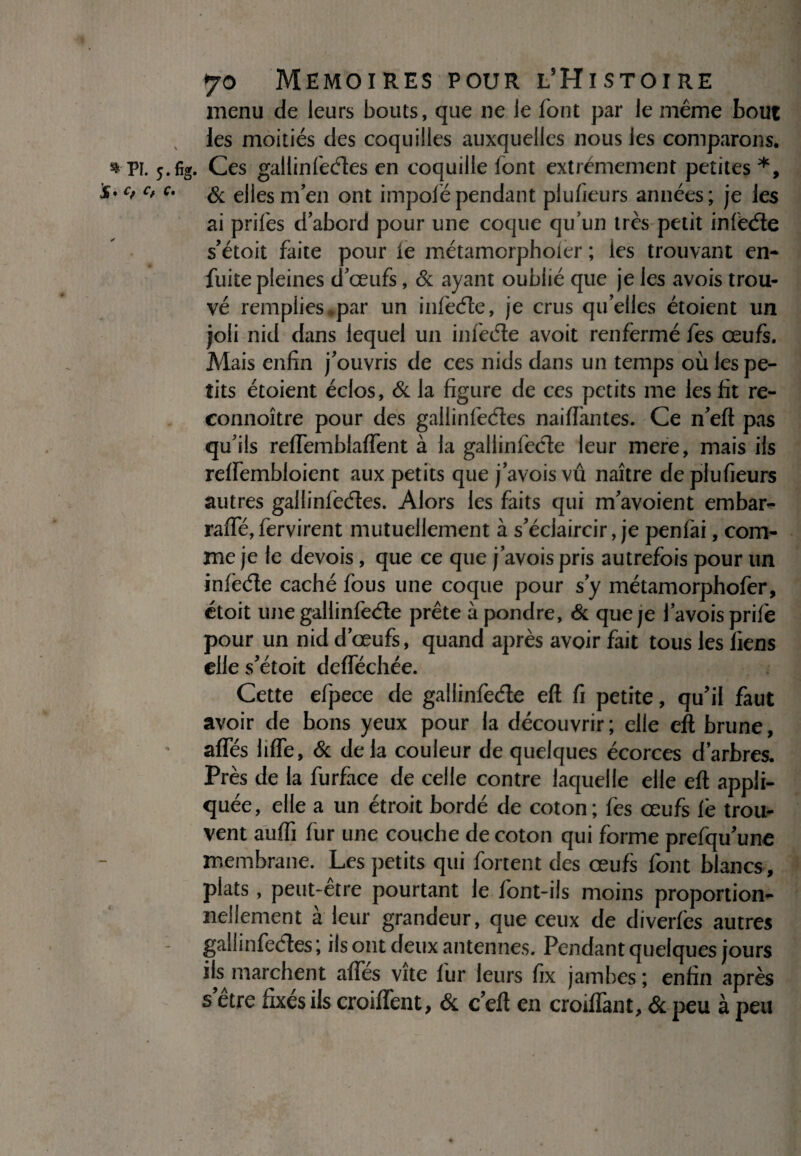 *PI. 5. ^ o y ♦ 70 MEMOIRES POUR L’HiSTOIRE menu de leurs bouts, que ne le font par le même bout les moitiés des coquilles auxquelles nous les comparons, fi g. Ces gallinfecftes en coquille font extrêmement petites *, 6c ellesnfen ont impofépendant plufieurs années; je les ai prifes d’abord pour une coque qu’un très petit inféète s’étoit faite pour le métamorphoîer ; les trouvant en- fuite pleines d’œufs, & ayant oublié que je les avois trou¬ vé remplies*par un infeéle, je crus quelles étoient un joli nid dans lequel un infecte avoit renfermé fes œufs. Mais enfin j’ouvris de ces nids dans un temps où les pe¬ tits étoient éclos, 6c la figure de ces petits me les fit re- connoître pour des galiinfedes naifîantes. Ce n’eft pas qu’ils reftemblaffent à la gallinfeéte leur mere, mais ils relfembloient aux petits que j’avoisvû naître de plufieurs autres gallinfedtes. Alors les faits qui m’avoient embar- raffé, fervirent mutuellement à s’éclaircir, je penfai, com¬ me je le devois , que ce que j’avois pris autrefois pour un infeéte caché fous une coque pour s’y métamorphofer, étoit une gallinfeéle prête à pondre, 6c que je l’avoisprifè pour un nid d’œufs, quand après avoir fait tous les liens elle s étoit defféchée. Cette efpece de gallinfede eft fi petite, qu’il faut avoir de bons yeux pour la découvrir ; elle eft brune, affés liffe, 6c delà couleur de quelques écorces d’arbres. Près de la furface de celle contre laquelle elle eft appli¬ quée, elle a un étroit bordé de coton; fès œufs le trou¬ vent aufli fur une couche de coton qui forme prefqu’une membrane. Les petits qui fortent des œufs font blancs , plats, peut-être pourtant le font-ils moins proportion¬ nellement à leur grandeur, que ceux de diverfes autres gallinfecftes; ils ont deux antennes. Pendant quelques jours ils marchent affes vite fur leurs fix jambes ; enfin après s’être fixés ils croiffent, 6c c’eft en croiflant, 6c peu à peu