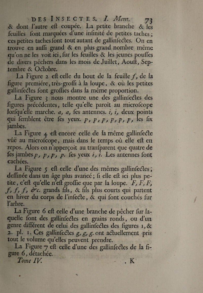 & dont l’autre eft couj>ée. La petite branche & les feuilles font marquées d’une infinité de petites taches ; ces petites taches font tout autant de gallinfeéles. On en trouve en aulfi grand & en plus grand nombre même qu’on ne les voit ici, fur les feuilles & les jeunes pouffes de divers pêchers dans les mois de Juillet, Aoult, Sep¬ tembre &. Oétobre. La Figure 2 eft celle du bout de la feuille/, de la figure première, très-groffr à la loupe, & où les petites gallinfeéles font groffies dans la même proportion. La Figure 3 nous montre une des gallinfeéles des figures précédentes, telle qu’elle paroît au microfoope lorlqu’elle marche, a, a, fes antennes, i, i, deux points qui femblent être fes yeux, p, p, p, p, p, p, les fix jambes. La Figure 4 eft encore celle de la même gallinfeéle vûë au microlcope, mais dans le temps où elle eft en repos. Alors on n’apperçoit au tranlparcnt que quatre de fes jambes p, p, p, p. fes yeux i, i. Les antennes font cachées. La Figure 5 eft celle d’une des mêmes gallinfeéles ; defiînée dans un âge plus avancé ; fi elle eft ici plus pe¬ tite , c’eft qu’elle n’eft grolfie que par la loupe. F, FF, f, f, f, frc. grands fils, & fils plus courts qui partent en hiver du corps de l’inlccle, & qui font couchés fur l’arbre. La Figure 6 eft celle d’une branche de pêcher fur la¬ quelle font des gallinfeéles en grains ronds, ou d’un genre différent de celui des gallinfeéles des figures 1, & 2. pi. 1. Ces gallinfeéles g, g, g. ont aéluellement pris tout le volume qu’elles peuvent prendre. La Figure 7 eft celle d’une des gallinfeéles de la fi¬ gure 6, détachée. Tome IV - . K