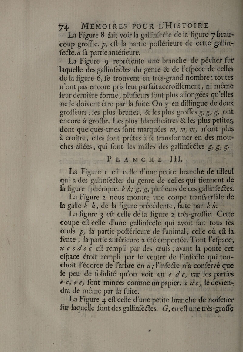 La Figure 8 fait voir la gallinfecfte de la figure 7 beau¬ coup groffie. y, eft la partie poftérieure de cette gallin- feéte.afa partie antérieure. La Figure 9 repréfente une branche de pêcher fur laquelle des gallinfecftes du genre & de fefpece de celles de la figure 6, fe trouvent en très-grand nombre ; toutes nont pas encore pris leur parfait accroiffement, ni même leur dernière forme, plufieurs font plus allongées qu’elles ne le doivent être par la fuite. On y en distingue de deux grolfeurs, les plus brunes, & les plus groflesg,g,g> ont encore à groffir. Les plus blancheâtres & les plus petites, dont quelques-unes font marquées 7//, m, m, n’ont plus à croître, elles font prêtes à fe transformer en des mou¬ ches ailées, qui font les mâles des gallinfecftes g, g, g. Planche III. La Figure 1 eft celle d’une petite branche de tilleul qui a des gallinfecftes du genre de celles qui tiennent de la figure fphérique. k h; g, g, plufieurs de ces gallinfecftes. La Figure 2 nous montre une coupe tranfverfale de la galle k h, de la figure précédente, faite par k h La figure 3 eft celle de la figure 2 très-groffie. Cette coupe eft celle d’une gallinfecfte qui avoit fait tous fes œufs, j)} la partie poftérieure de l’animal, celle où eft la fente ; la partie antérieure a été emportée. Tout l’efpace, u c e d e c eft rempli par des œufs ; avant la ponte cet efpace étoit rempli par le ventre de l’infecfte qui tou- choit l’écorce de l’arbre en u; l’infecfte n’a confervé que le peu de folidité qu’on voit en e d e, car les parties e c, e c, font minces comme un papier, e de, le devien¬ dra de même par la fuite. La Figure 4. eft celle d’une petite branche de noifetier fur laquelle font des gallinfecftes. G, en eft une très-groffe