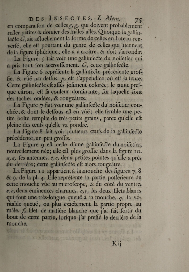 en comparaifon de celles g, g, qui doivent probablement relier petites & donner des mâles ailés. Quoique ia gallin- lèéle G, ait aéluellement la forme de celles en bateau ren- verlë, elle elt pourtant du genre de celles qui tiennent delà figure fphérique; elle a à croître, & doit s’arrondir. La Figure 5 fait voir une gallinfeéle du noifetier qui a pris tout fon accroifTement. G, cette gallinfeéle. La Figure 6 repréfente la gallinfeéle précédente groF fie, & vûë par deffus. />, efl l’appendice où efl la fente. Cettegallinlèéteeflaffés joliment colorée; le jaune pref- que citron, efl fa couleur dominante, fur laquelle font des taches ondées, & rougeâtres. La Figure 7 fait voir une gallinfeéle du noifetier cou¬ chée, éc dont le deffous efl en vûë ; elle femble une pe¬ tite boîte remplie de très-petits grains, parce qu’elle efl pleine des œufs qu’elle va pondre. La Figure 8 fait voir plufieurs œufs de la gallinfeéle précédente, un peu groffts. La Figure 9 efl celle d’une gallinfeéle du noifetier, nouvellement née; elle efl plus groffie dans la figure 10. a,a, fes antennes. e,e, deux petites pointes qu’elle après du derrière ; cette gallinfeéle efl alors rougeâtre. La Figure 11 appartient à 1a mouche des figures 7, 8 & 9. de la pi. 4. Elle repréfente la partie poflérieure de cette mouche vûë au microfcope, & du côté du ventre. e,e, deux éminences charnues. c,c, les deux filets blancs qui font une très-longue queue à la mouche, q, la vé¬ ritable queuë, ou plus exaélement la partie propre au mâle, fi filet de matière blanche que j’ai fait fortir du bout de cette partie, lorfque j’ai preffé le derrière de la mouche.