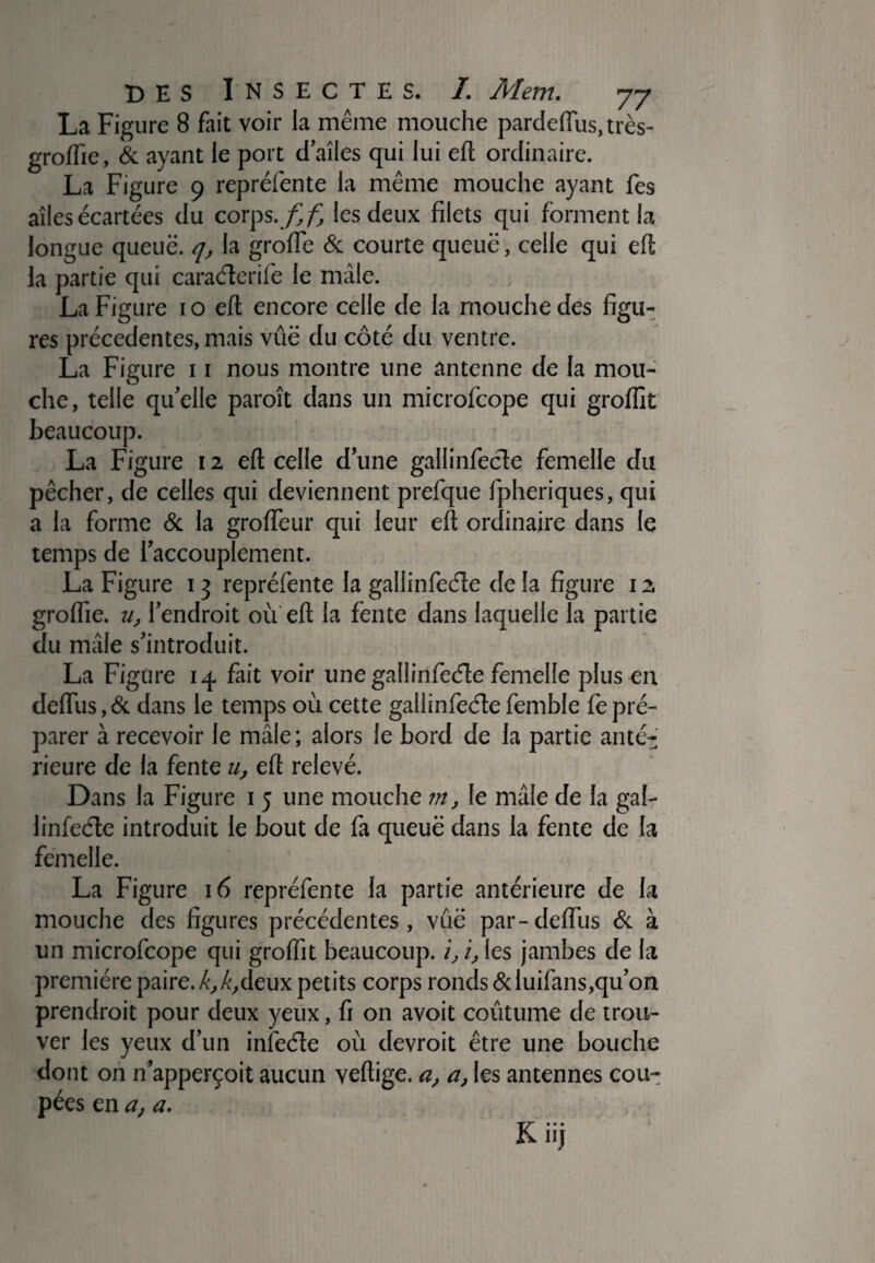 La Figure 8 fait voir la même mouche pardeflus.très- groiïîe, & ayant le port d’aîles qui lui eft ordinaire. La Figure 9 repréfente la même mouche ayant fes allés écartées du corps, ff, les deux filets qui forment la longue queuë. q, la greffe & courte queue, celle qui eft la partie qui caraéterife le mâle. La Figure 1 o eft encore celle de la mouche des figu¬ res précédentes, mais vûë du côté du ventre. La Figure 11 nous montre une antenne de la mou¬ che, telle qu’elle paroît dans un microfcope qui grolîit beaucoup. La Figure 12 efl: celle d’une gallinfeéle femelle du pêcher, de celles qui deviennent prefque fpheriques, qui a la forme & la grofleur qui leur efl ordinaire dans le temps de l’accouplement. La Figure 13 repréfente la gallinfeéle de la figure 12 groflïe. u, l’endroit où efl la fente dans laquelle la partie du mâle s’introduit. La Figure 14. fait voir une gallinfeéle femelle plus en deflus,& dans le temps où cette gallinfeéle femble fepré¬ parer à recevoir le mâle ; alors le bord de la partie anté¬ rieure de la fente u, efl relevé. Dans la Figure 1 5 une mouche m, le mâle de la gaî- linfeéte introduit le bout de fa queuë dans la fente de la femelle. La Figure 16 repréfente la partie antérieure de la mouche des figures précédentes, vuë par - de fin s & à un microfcope qui groflît beaucoup. /, i, les jambes de la première paire. k,k,àeux petits corps ronds ôduifans,qu’on prendroit pour deux yeux, fi on avoit coutume de trou¬ ver les yeux d’un infeéle où devrait être une bouche dont on n’apperçoit aucun vertige, a, a, les antennes cou¬ pées en a, a. K üj