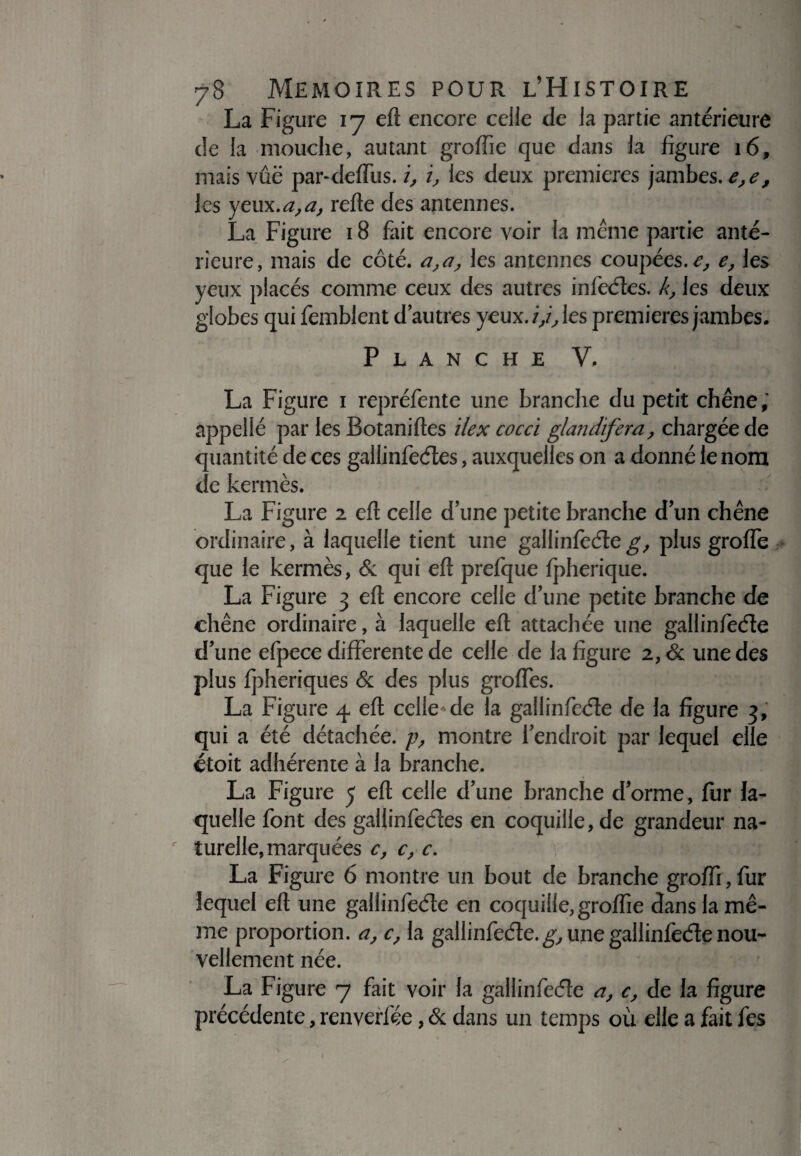 La Figure 17 eft encore celle de la partie antérieure de la mouche, autant groffie que dans la figure 16, mais vue par-delfus. i, i, les deux premières jambes. e,e, les yem..a,a, refte des antennes. La Figure 18 fait encore voir la meme partie anté¬ rieure , mais de côté, a, a, les antennes coupées, e, e, les yeux placés comme ceux des autres infeétes. k, les deux globes qui femblent d’autres yeux. ij, les premières jambes. Planche V. La Figure 1 repréfente une branche du petit chêne,' appelle par les Botaniftes U ex cocci glandifera, chargée de quantité de ces gallinfeétes, auxquelles on a donné le nom de kermès. La Figure 2 eft celle d’une petite branche d’un chêne ordinaire, à laquelle tient une gallinfeéteg, plus grofle que le kermès, & qui eft prefque fpherique. La Figure 3 eft encore celle d’une petite branche de chêne ordinaire, à laquelle eft attachée une gallinfeéte d’une efpece differente de celle de la figure 2, <5c une des plus fpheriques & des plus groftès. La Figure 4 eft celle de la gallinfeéte de la figure 3, qui a été détachée, p, montre l’endroit par lequel elle ctoit adhérente à la branche. La Figure 5 eft celle d’une branche d’orme, fur la¬ quelle font des gallinfeétes en coquille, de grandeur na¬ turelle, marquées c, c, c. La Figure 6 montre un bout de branche groffi, fur lequel eft une gallinfeéte en coquille, groflîe dans la mê¬ me proportion, a, c, la gallinfeéte. g, une gallinfeéte nou¬ vellement née. La Figure 7 fait voir la gallinfeéte a, c, de la figure précédente, renverfée, & dans un temps où elle a fait fes