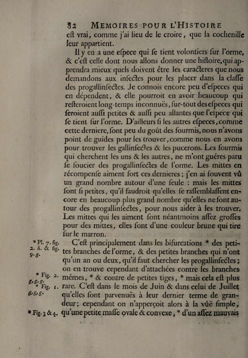 } * PL 7. fïg. 2. h. & fig. 9-S- * Fig. 2. ë>g>g> * Fig. i. 6*8*8* *- FiS- 3&4. Si Mémoires pour l’Histoire eft vrai, comme j'ai lieu de le croire, que la cochenille leur appartient. Il y en a une efpece qui fe tient volontiers fur forme, & c’eft celle dont nous allons donner unehiftoire,quiap' prendra mieux quels doivent être les caracfteres que nous demandons aux infeéles pour les placer dans la clafle des progallinfeéles. Je connois encore peu d'efpeces qui en dépendent, & elle pourrait en avoir beaucoup qui relieraient long temps inconnues, fur-tout desefpeces qui feraient aulfi petites & auffi peu allantes que felpece qui fe tient fur forme. D'ailleurs fi les autres efpeces,comme cette derniere,font peu du goût des fourmis, nous n'avons point de guides pour les trouver, comme nous en avons pour trouver les gaüinfeéïes & les pucerons. Les fourmis qui cherchent les uns & les autres, ne m ont guéres paru fe foucier des progallinfeéles de forme. Les mittes en récompenfe aiment fort ces dernieres ; j'en ai fouvent vu un grand nombre autour d’une feule : mais les mittes font û petites, qu'il faudrait qu’elles fe raiïemblaftent en¬ core en beaucoup plus grand nombre quelles ne font au¬ tour des progai lin fetfles, pour nous aider à les trouver. Les mittes qui les aiment font néantmoins allez groffes pour des mittes, elles font d’une couleur brune qui tire fur le marron. C’eft principalement dans les bifurcations * des peti¬ tes branches déformé, & des petites branches qui n'ont qu'un an ou deux, qu'il faut chercher les progallinfedtes ; on en trouve cependant d'attachées contre les branches mêmes, * & contre de petites tiges, * mais cela eft plus rare. C'eft dans le mois de Juin & dans celui de Juillet qu'elles font parvenues à leur dernier terme de gran¬ deur; cependant on n'apperçoit alors à la vûë fimple, qu'une petite mafle ovale & convexe, * d’un affez mauvais