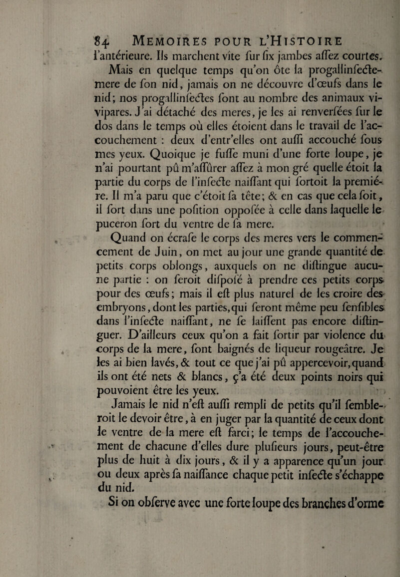 l’antérieure. Ils marchent vite fur fîx jambes affez courtes. Mais en quelque temps qu’on ôte la progallinfede- mere de fon nid, jamais on ne découvre d’œufs dans le nid; nos progalIinfed.es font au nombre des animaux vi¬ vipares. J’ai détaché des meres, je les ai renverfées furie dos dans le temps où elles étoient dans le travail de l’ac¬ couchement : deux d’entr’elles ont auffi accouché fous mes yeux. Quoique je fuffe muni d’une forte loupe, je n’ai pourtant pû m’aflïirer affez à mon gré quelle étoit la partie du corps de finfede naiffant qui fortoit la premiè¬ re. 11 m’a paru que c’étoit fa tête; & en cas que celafoit, il fort dans une pofition oppofée à celle dans laquelle le puceron fort du ventre de fa mere. Quand on écrafe le corps des meres vers le commen¬ cement de Juin, on met au jour une grande quantité de petits corps oblongs, auxquels on ne diftingue aucu¬ ne partie : on feroit difpolé à prendre ces petits corps pour des œufs; mais il eft plus naturel de les croire des embryons, dont les parties,qui feront même peu fenfibles dans l’infede naiffant, ne fe laiffent pas encore diftin- guer. D’ailleurs ceux qu’on a fait fortir par violence du corps de la mere, font baignés de liqueur rougeâtre. Je les ai bien lavés, & tout ce que j’ai pû appercevoir,quand ils ont été nets & blancs, ç’a été deux points noirs qui pouvoient être les yeux. Jamais le nid n’eft auffi rempli de petits qu'il femble- roit le devoir être, à en juger par la quantité de ceux dont le ventre de la mere eft farci; le temps de l’accouche¬ ment de chacune d’elles dure plufieurs jours, peut-être plus de huit à dix jours, & il y a apparence qu’un jour ou deux après fa naifïànce chaque petit infede s’échappe du nid. Si on obferye avec une forte loupe des branches dorme